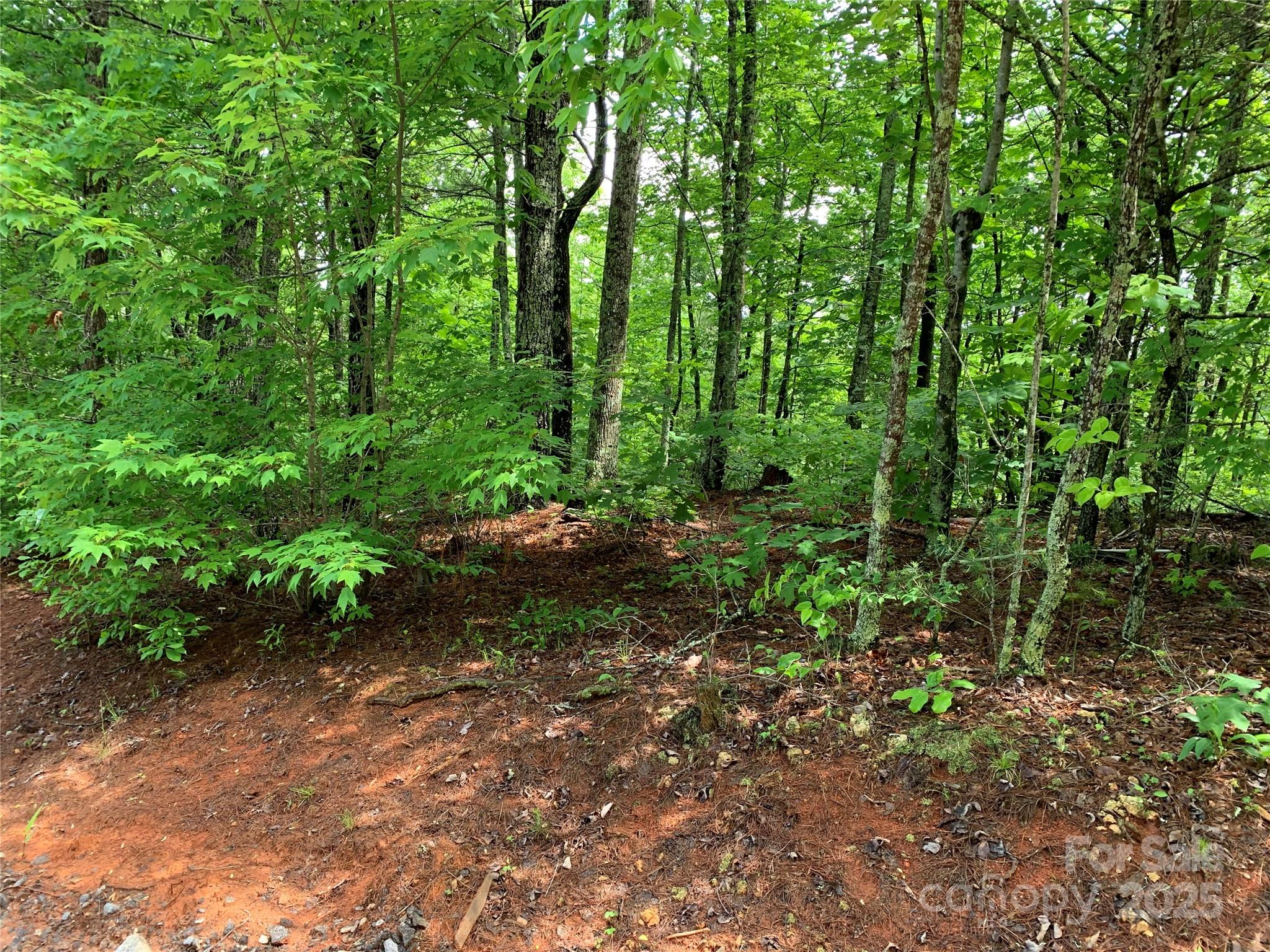 Lot 838B Whispering Hills Lane