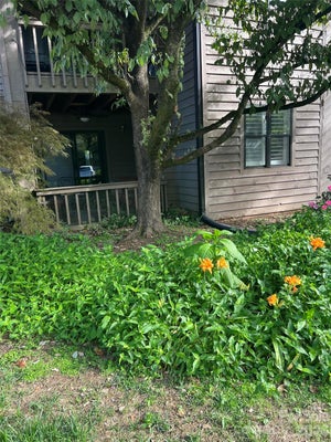 4134 CHARLOTTE HWY, CLOVER, SC 29710 - Image a48a1006dcce512a4e4e1eb76140760c/4124416882