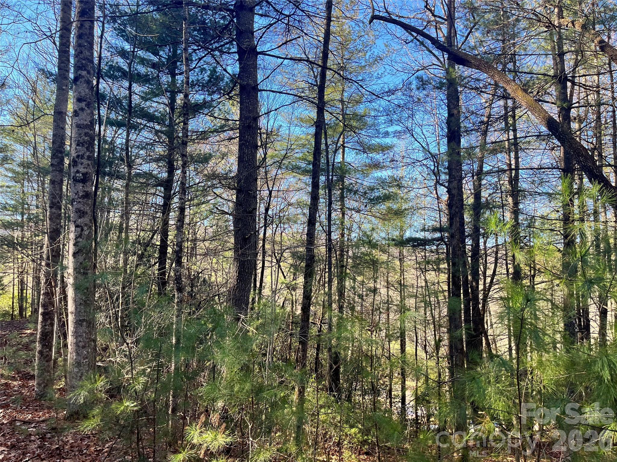 Awenasa Hills - Land