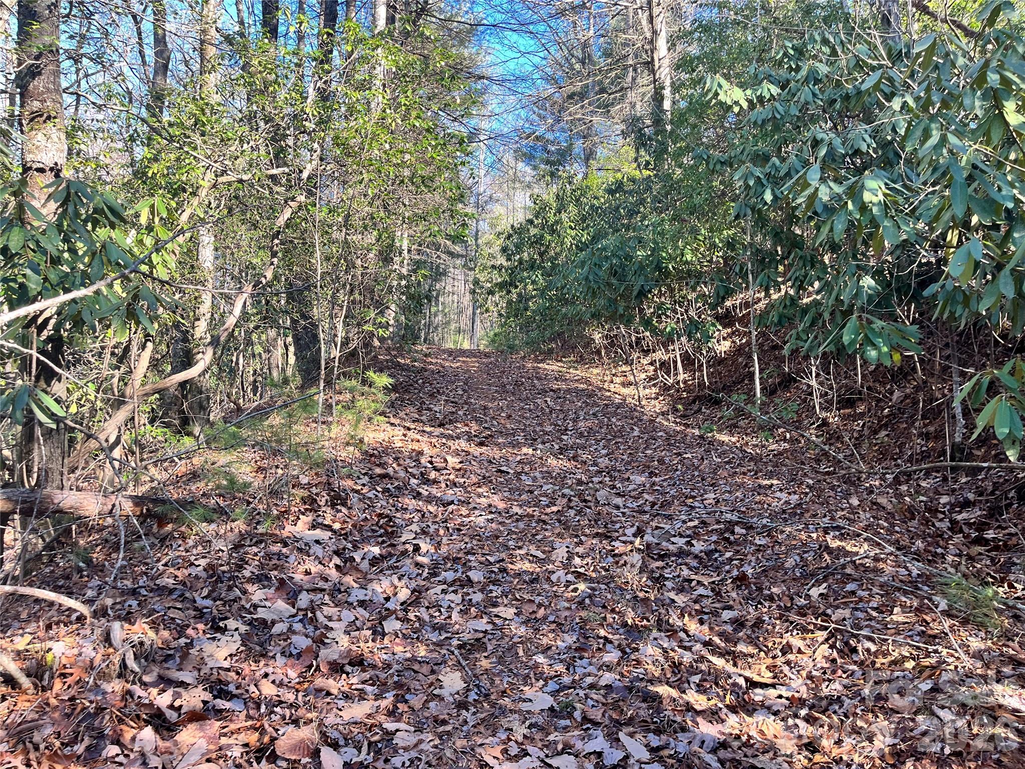 Awenasa Hills - Land