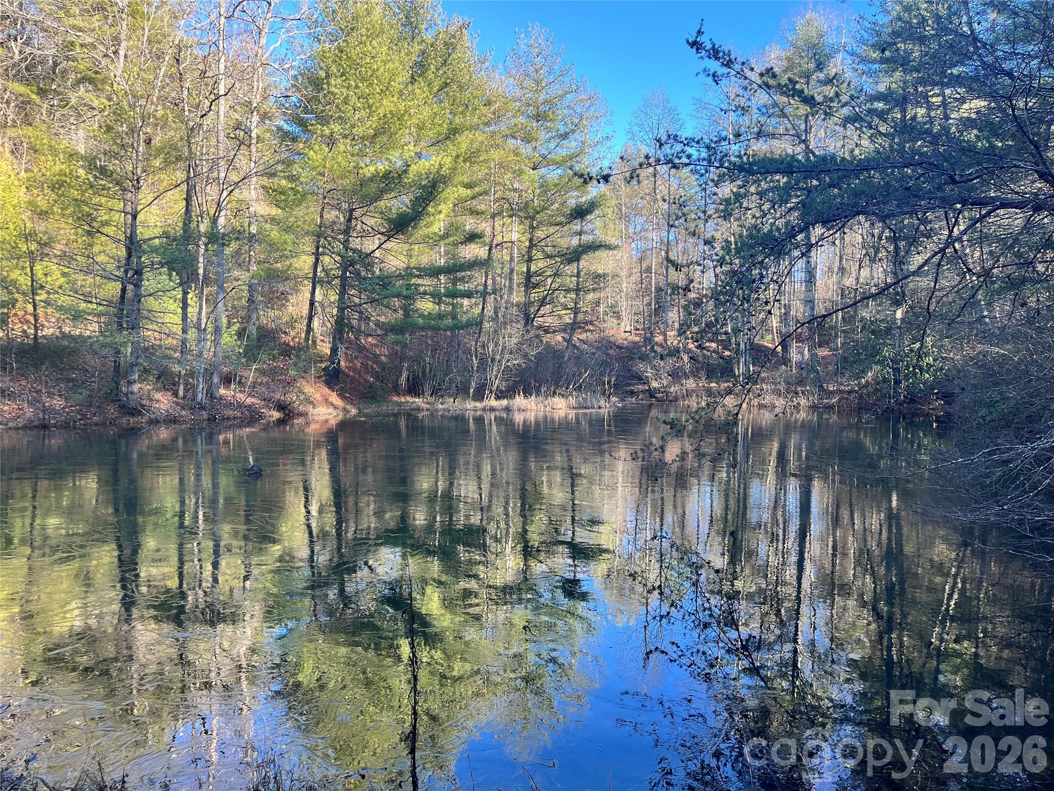 Awenasa Hills - Land