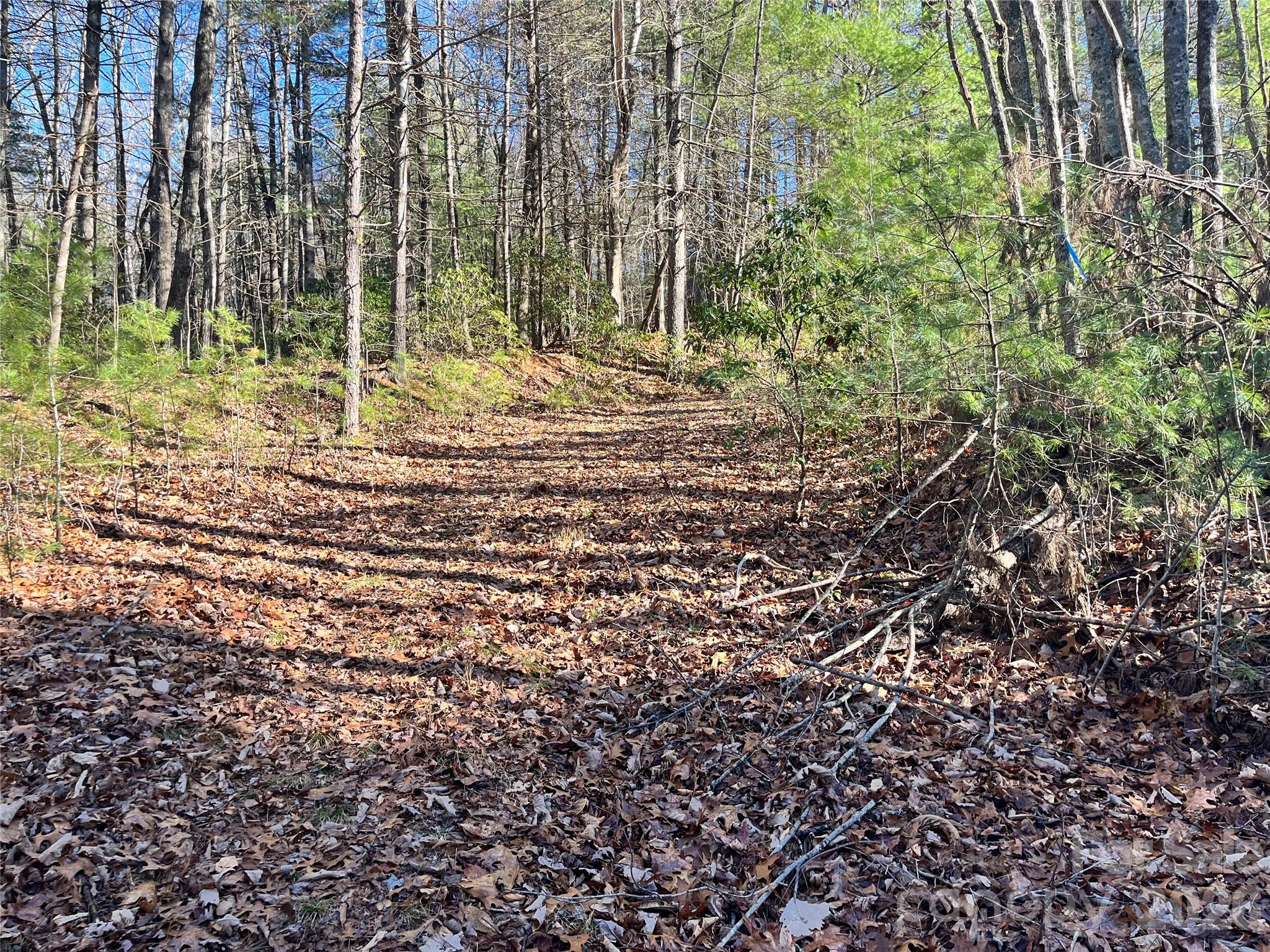 Awenasa Hills - Land