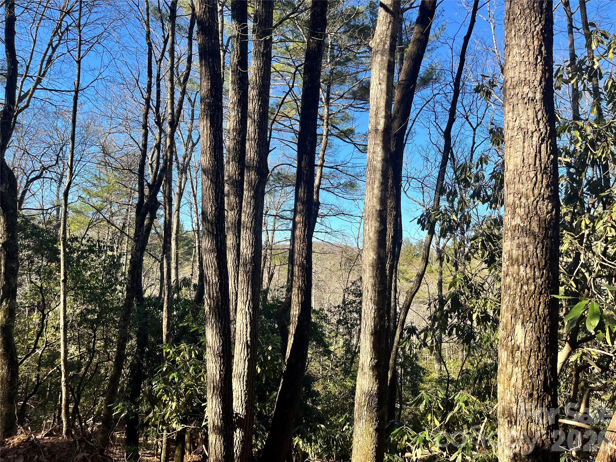 Awenasa Hills - Land