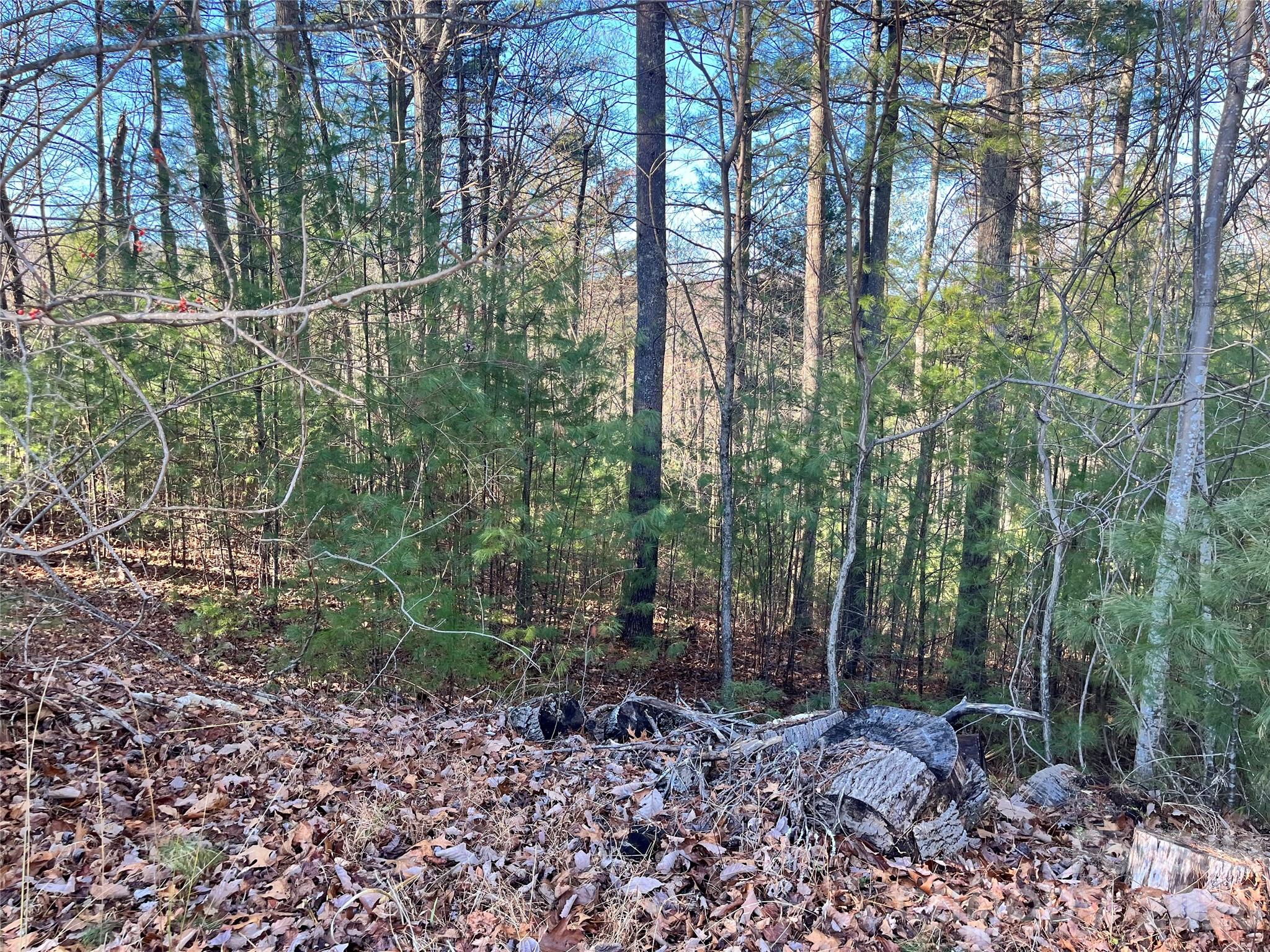 Awenasa Hills - Land