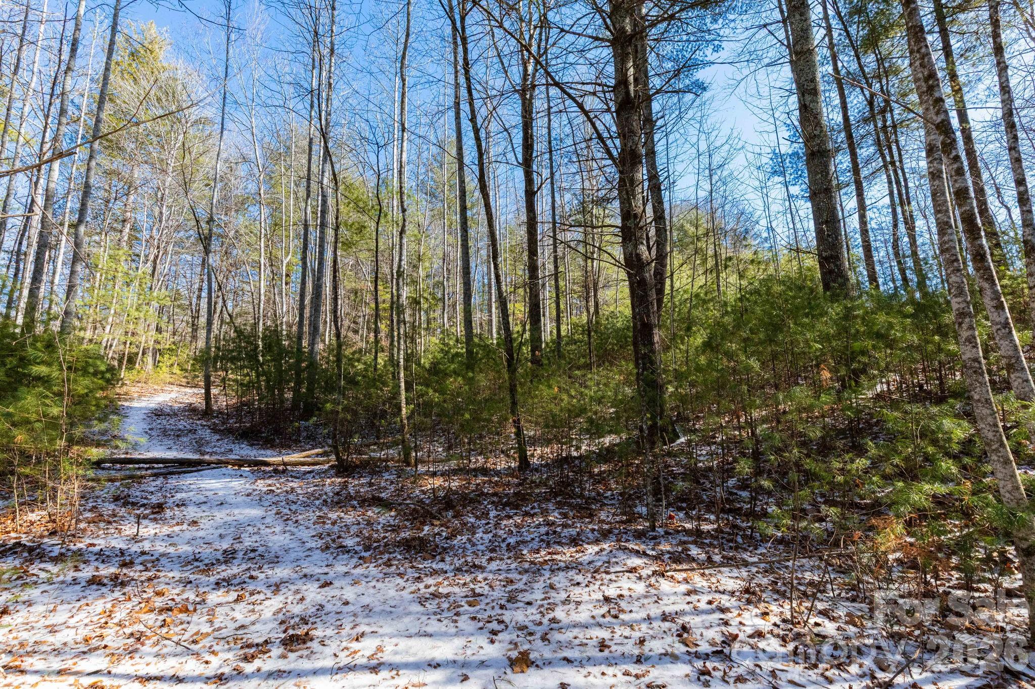 Awenasa Hills - Land