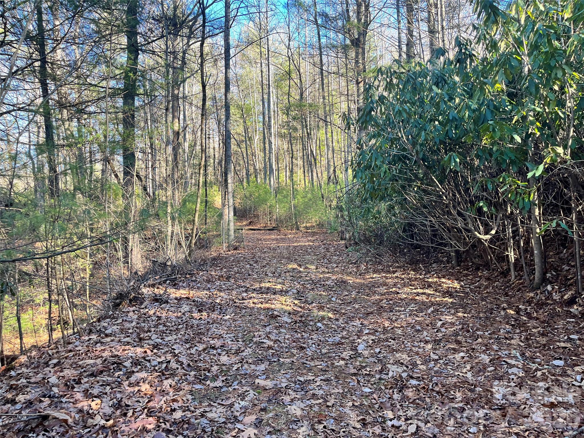 Awenasa Hills - Land