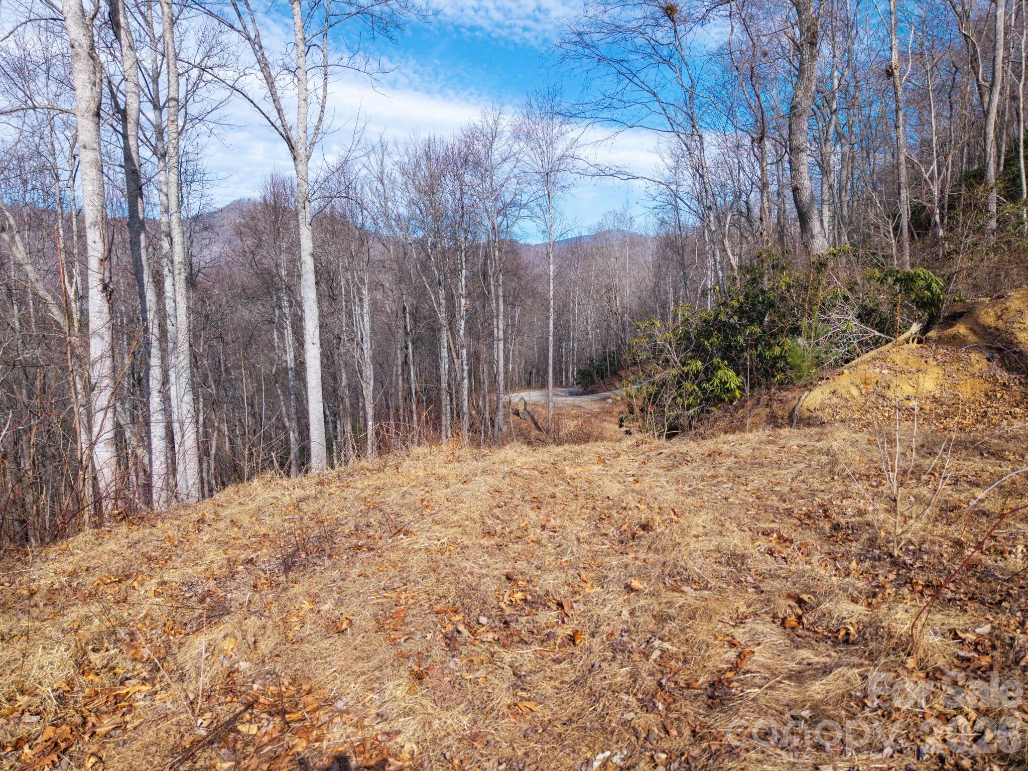 Smoky Mountain Estates - Land