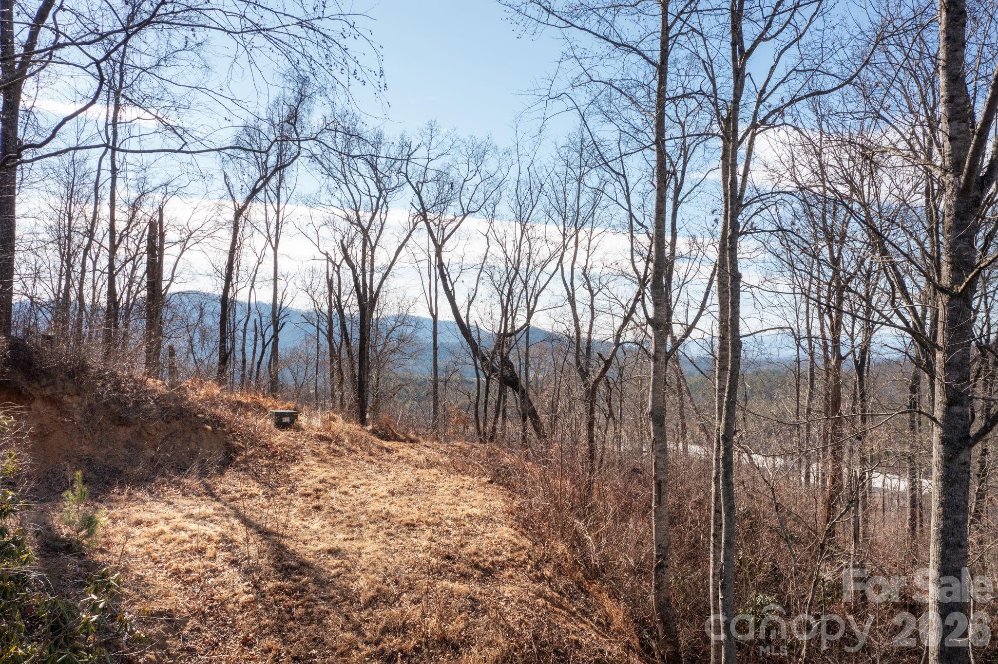 000 Bee Tree Road 103B