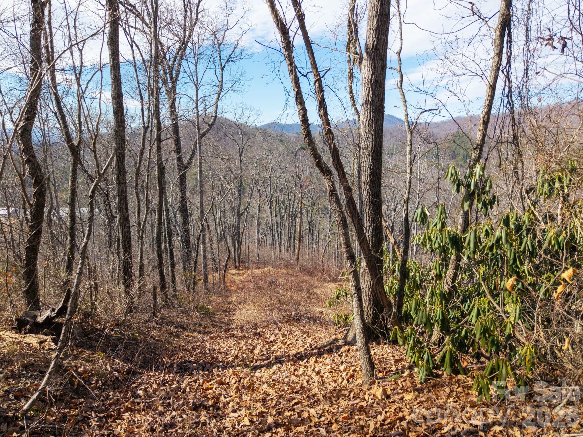 Smoky Mountain Estates - Land