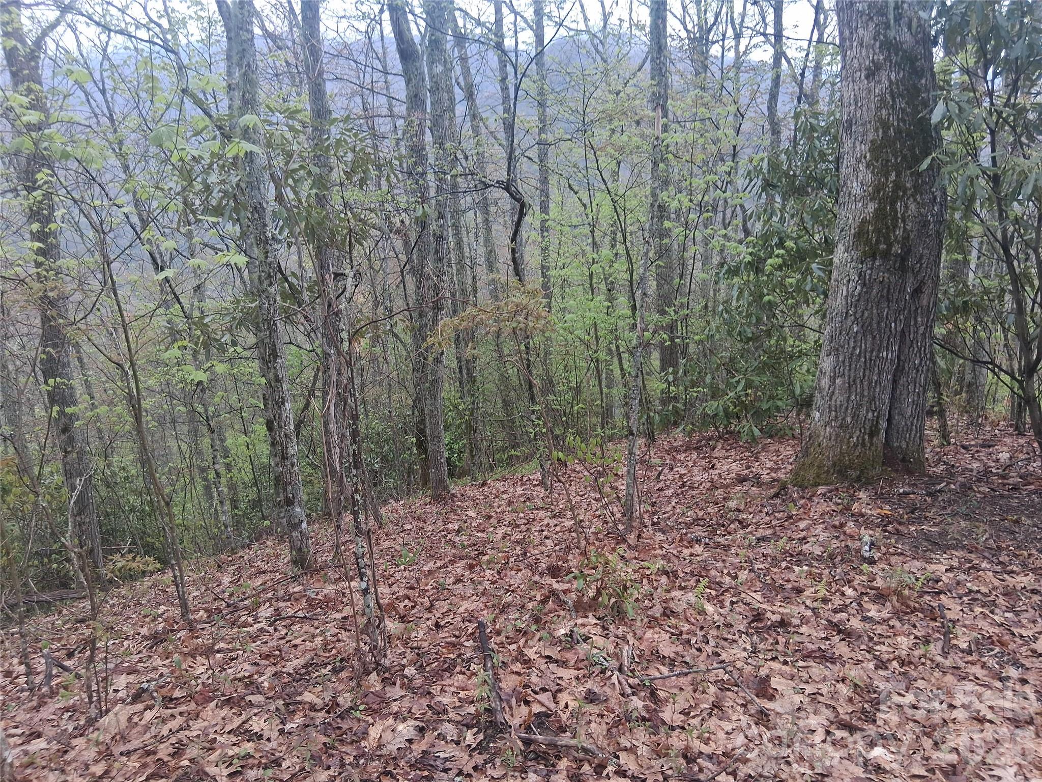 Smokey Mountain Acres - Land