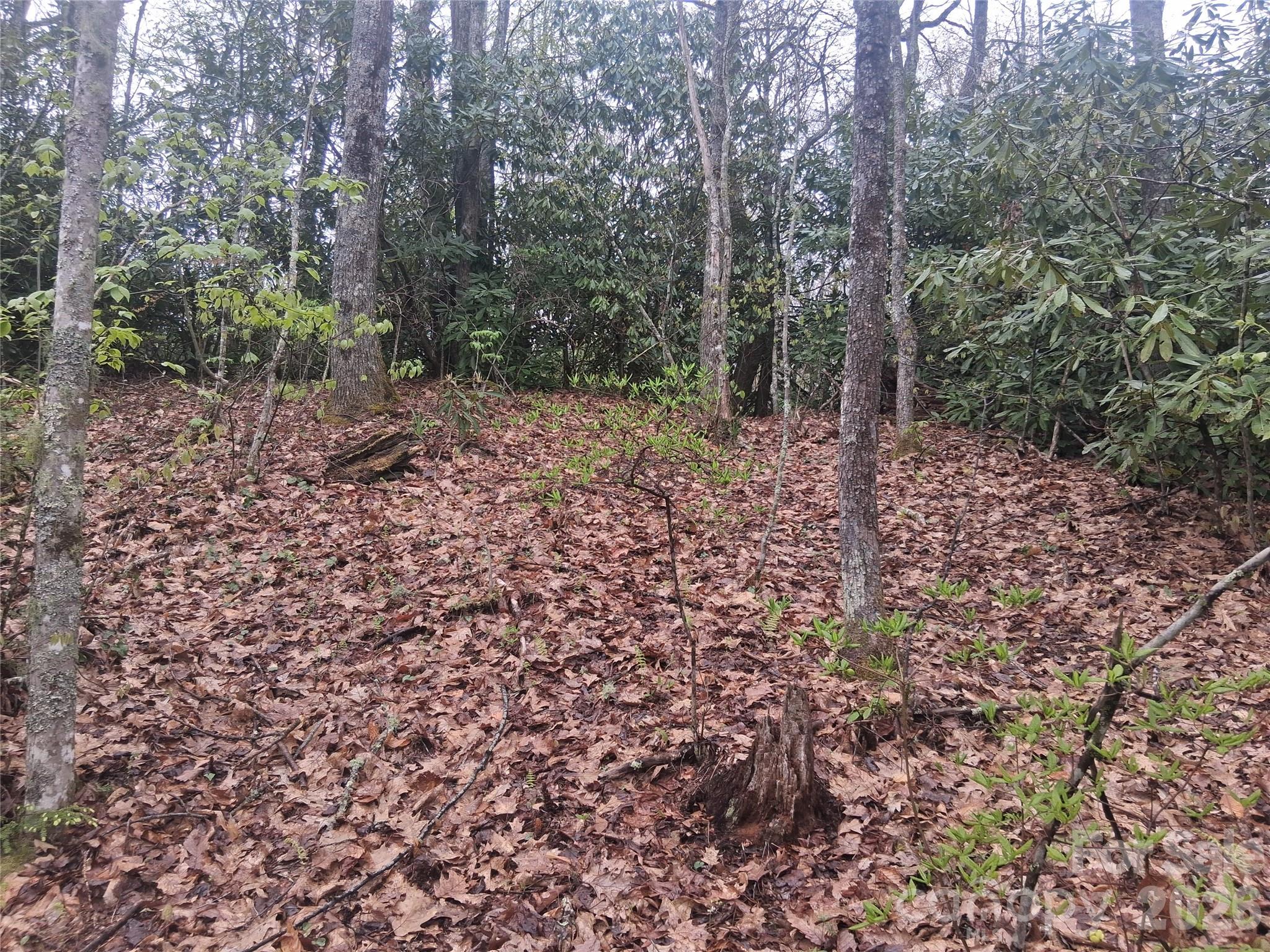 0000 Bear Creek Road