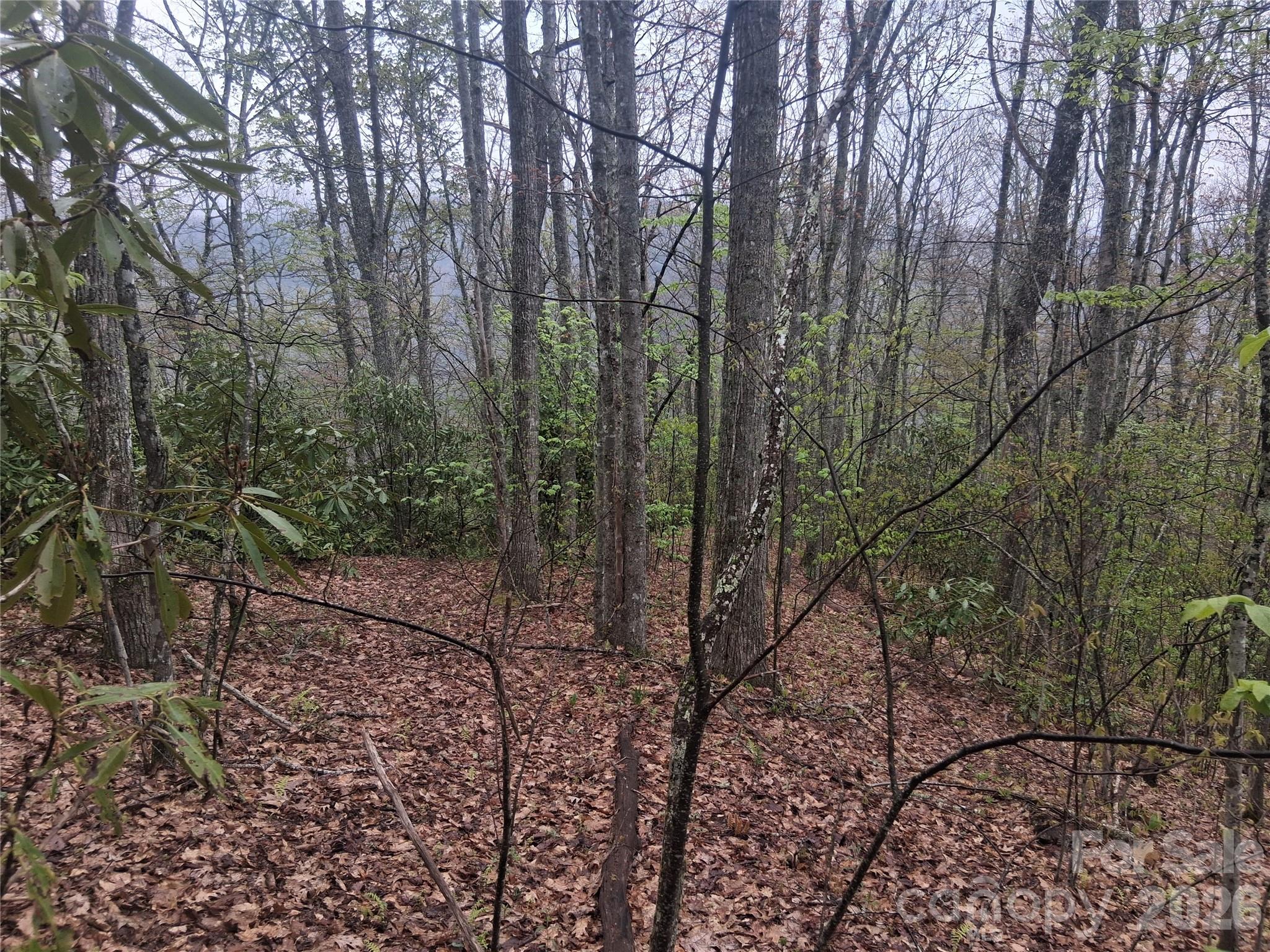 0000 Bear Creek Road