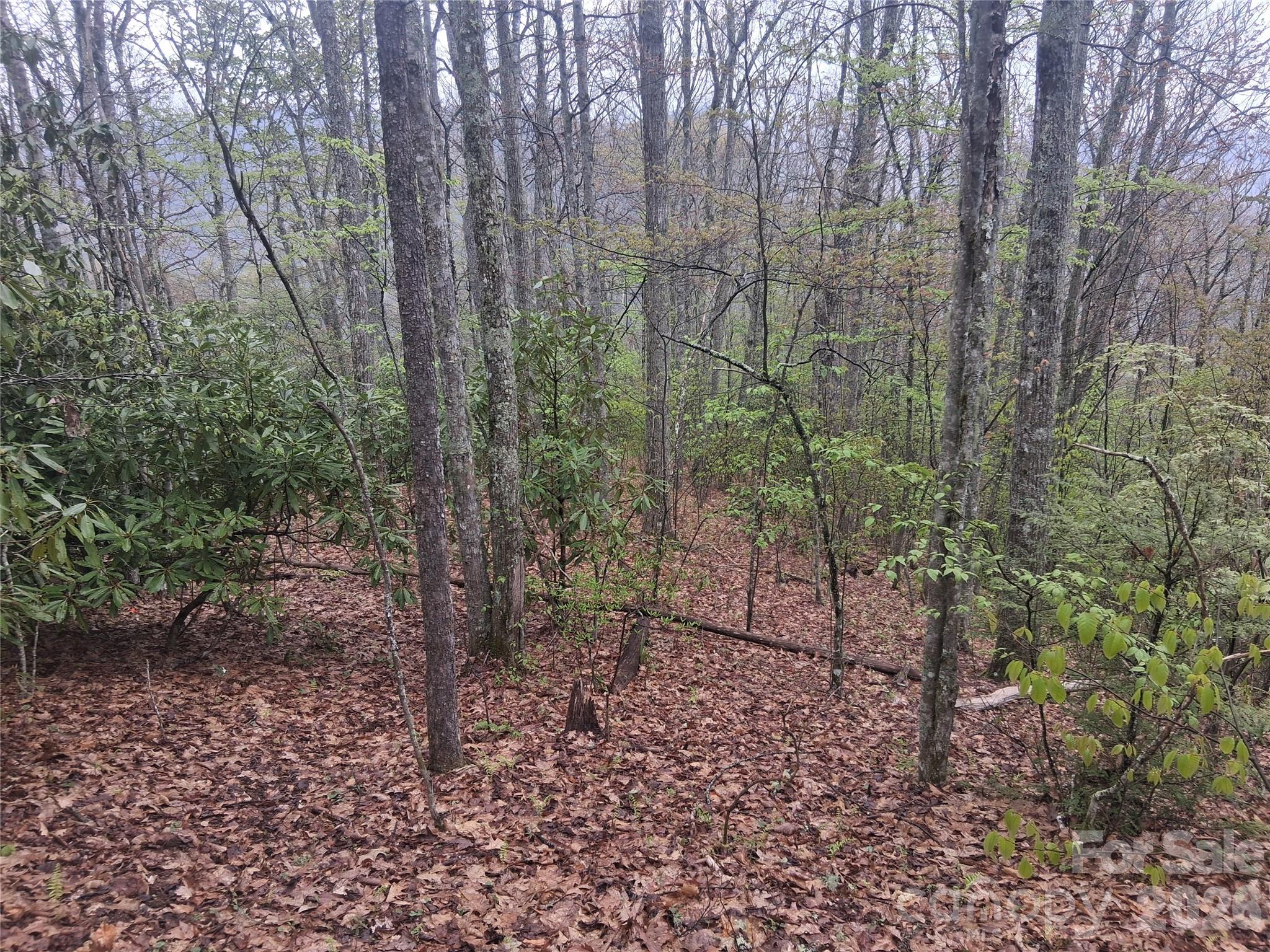 0000 Bear Creek Road