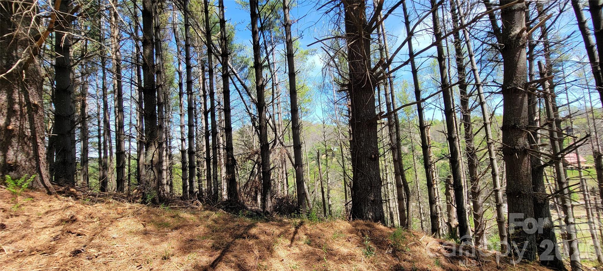 Two River Country - Land