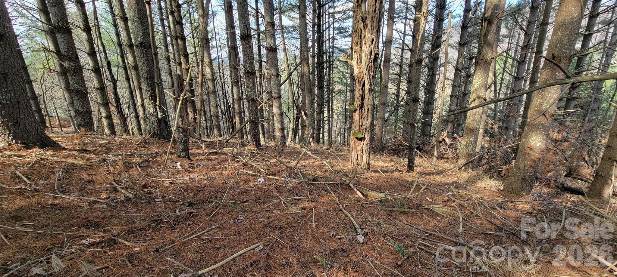 Two River Country - Land