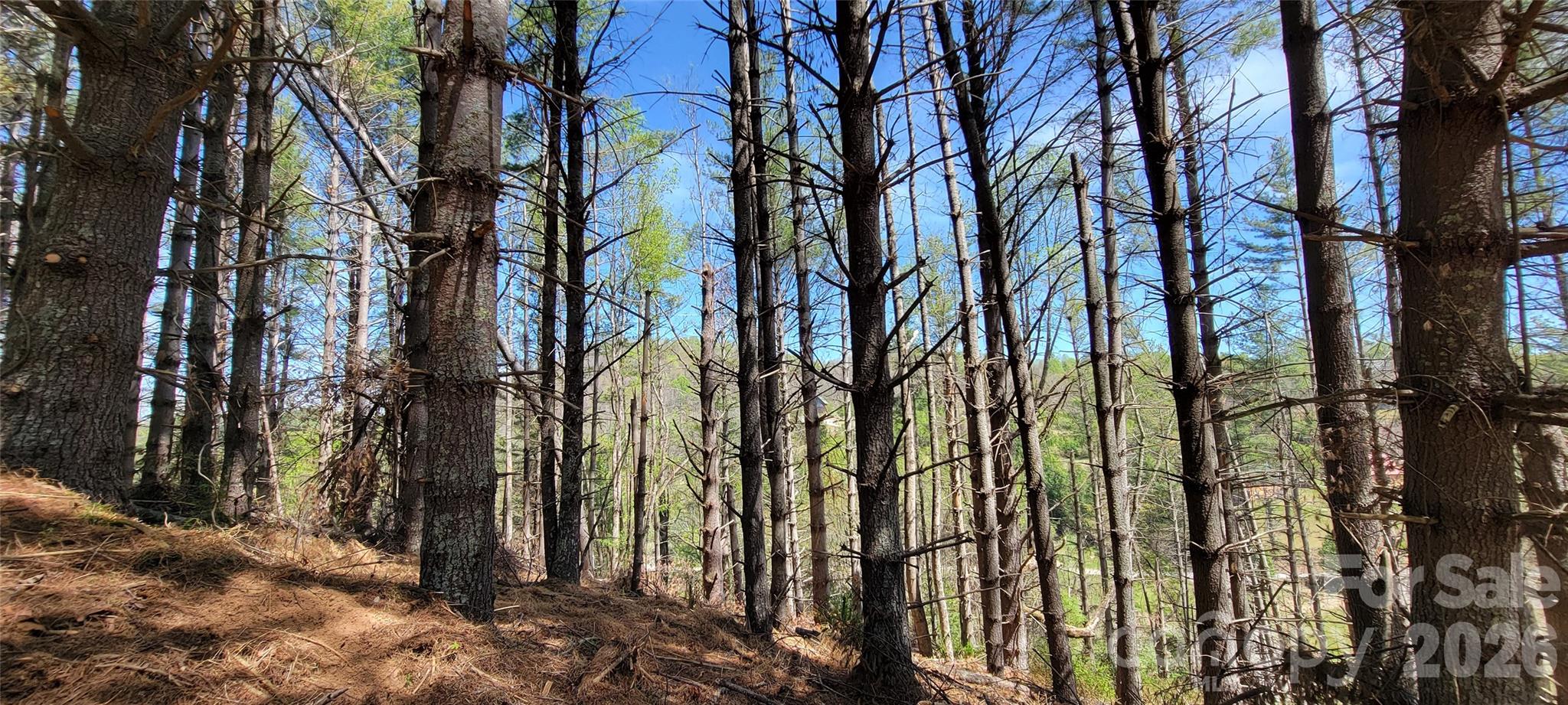 Two River Country - Land