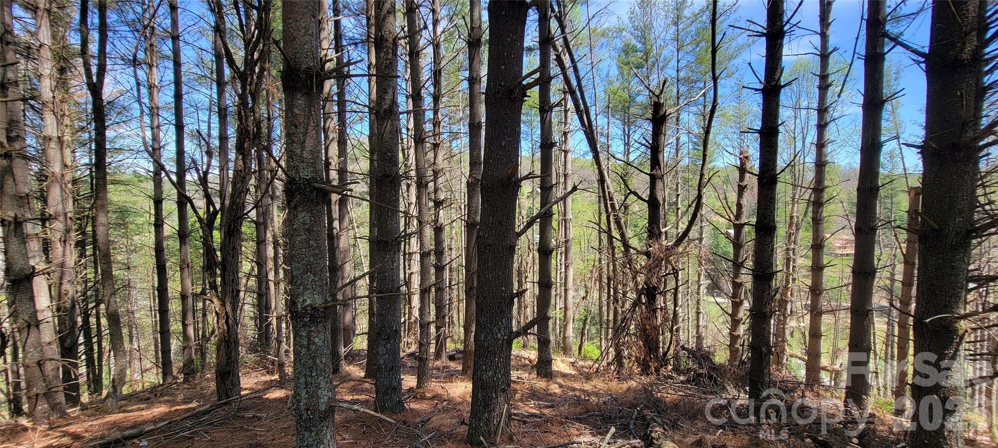 Two River Country - Land