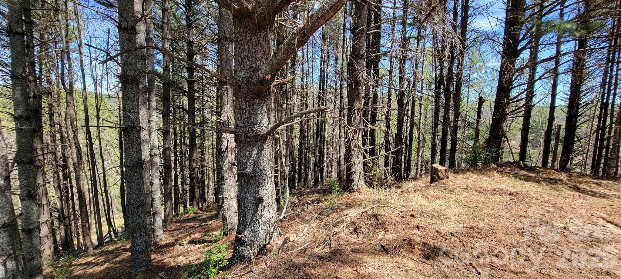 Two River Country - Land