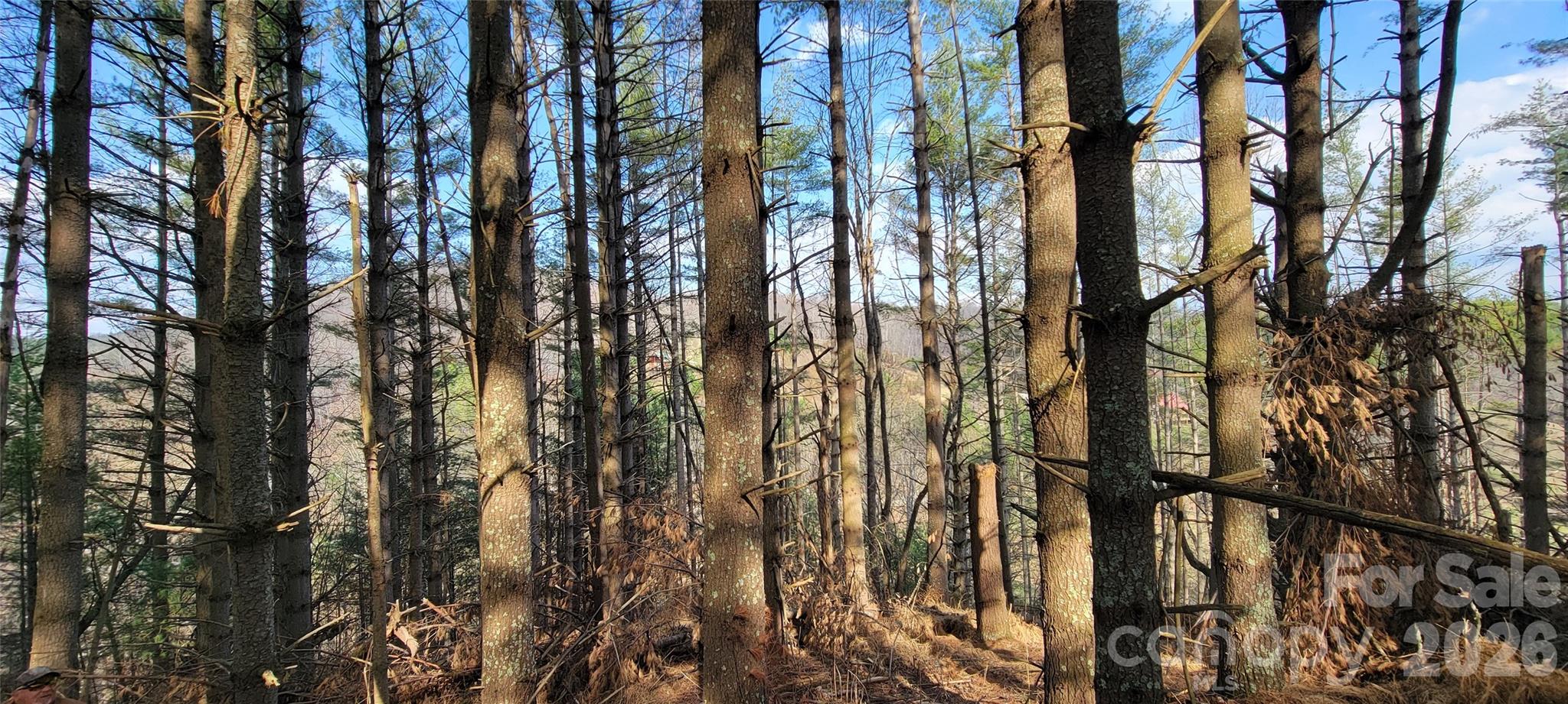 Two River Country - Land