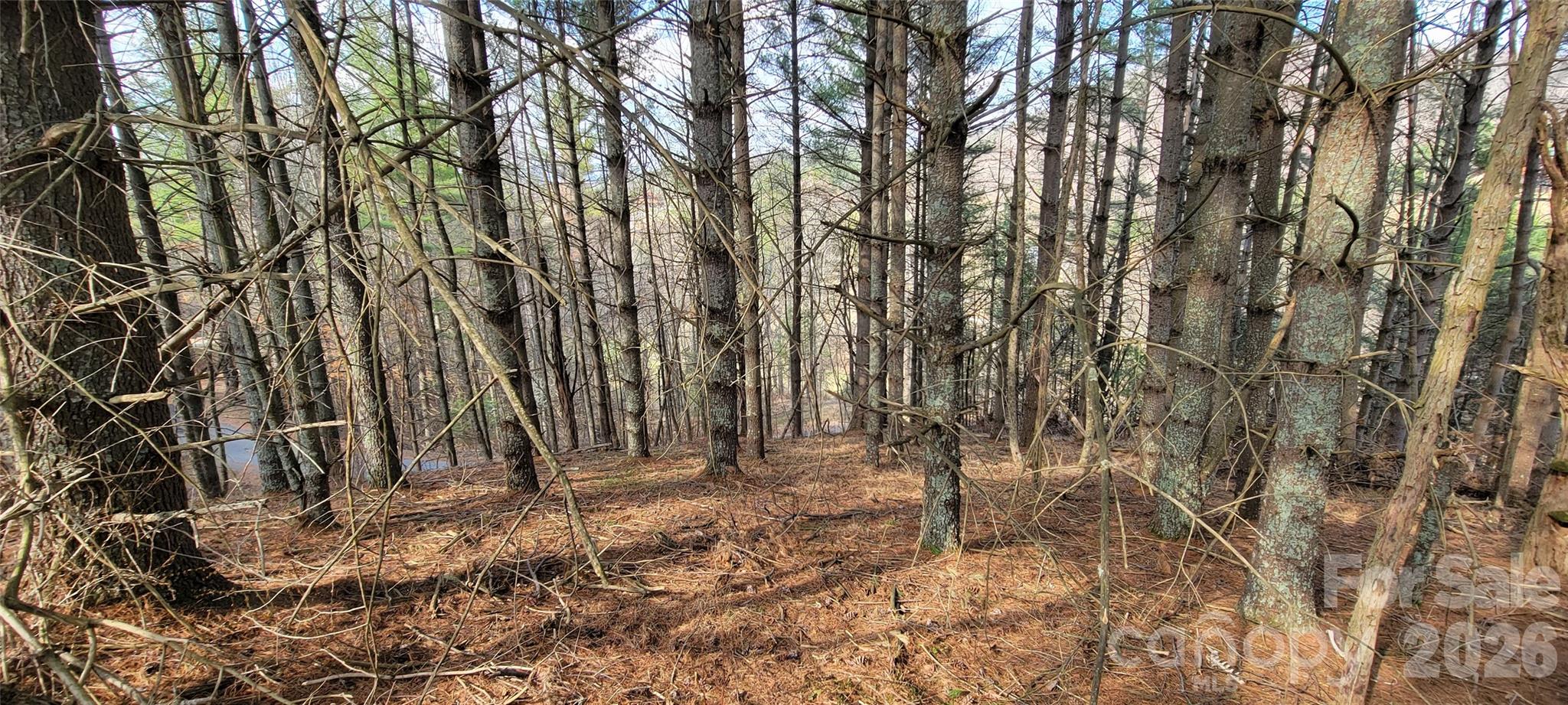 Two River Country - Land