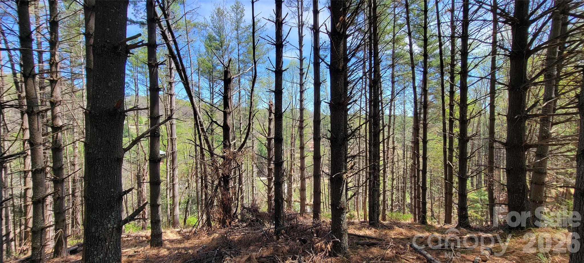 Two River Country - Land