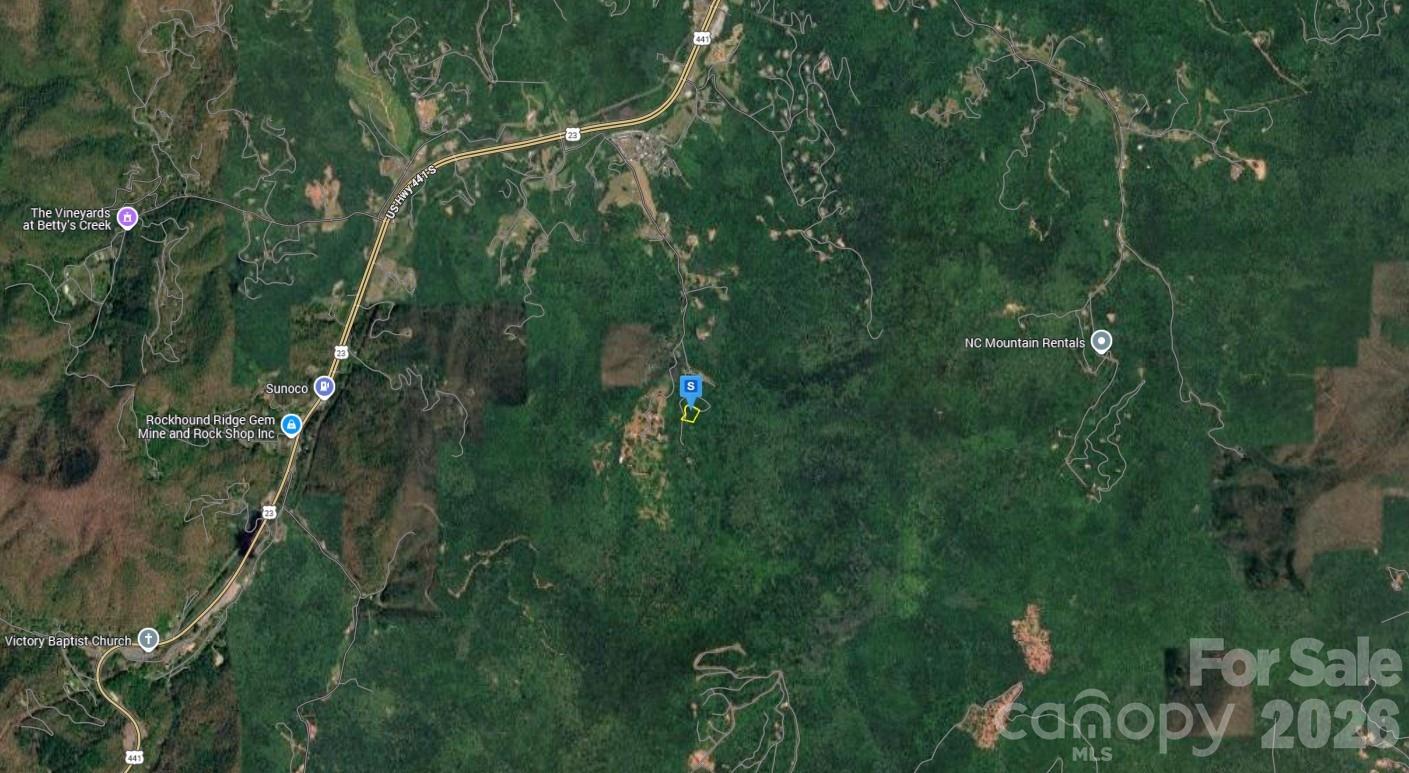 211 Meandering Woods