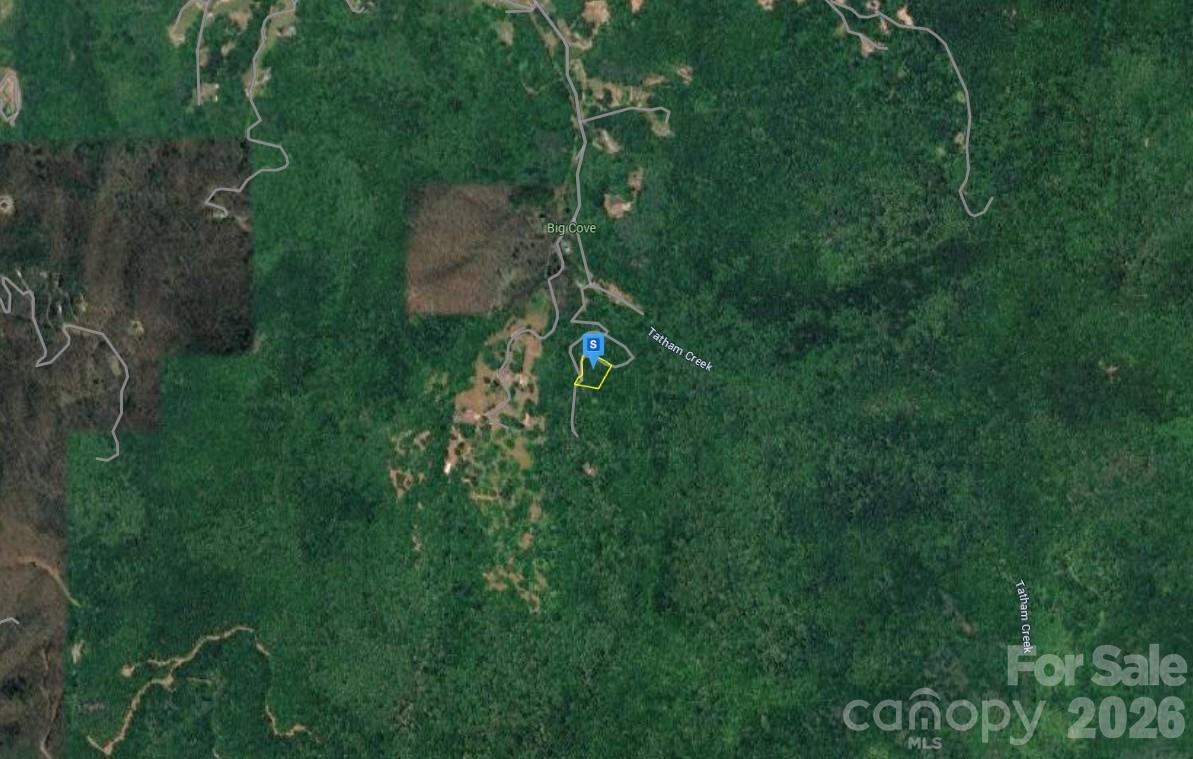 211 Meandering Woods