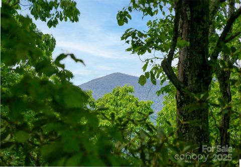 1111 Elm Tree Lane Swannanoa NC 28778