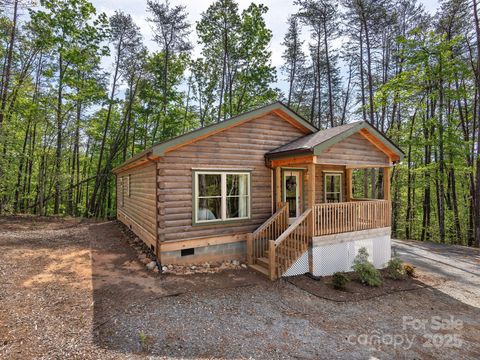 1798 Coopers Gap Road Mill Spring NC 28754