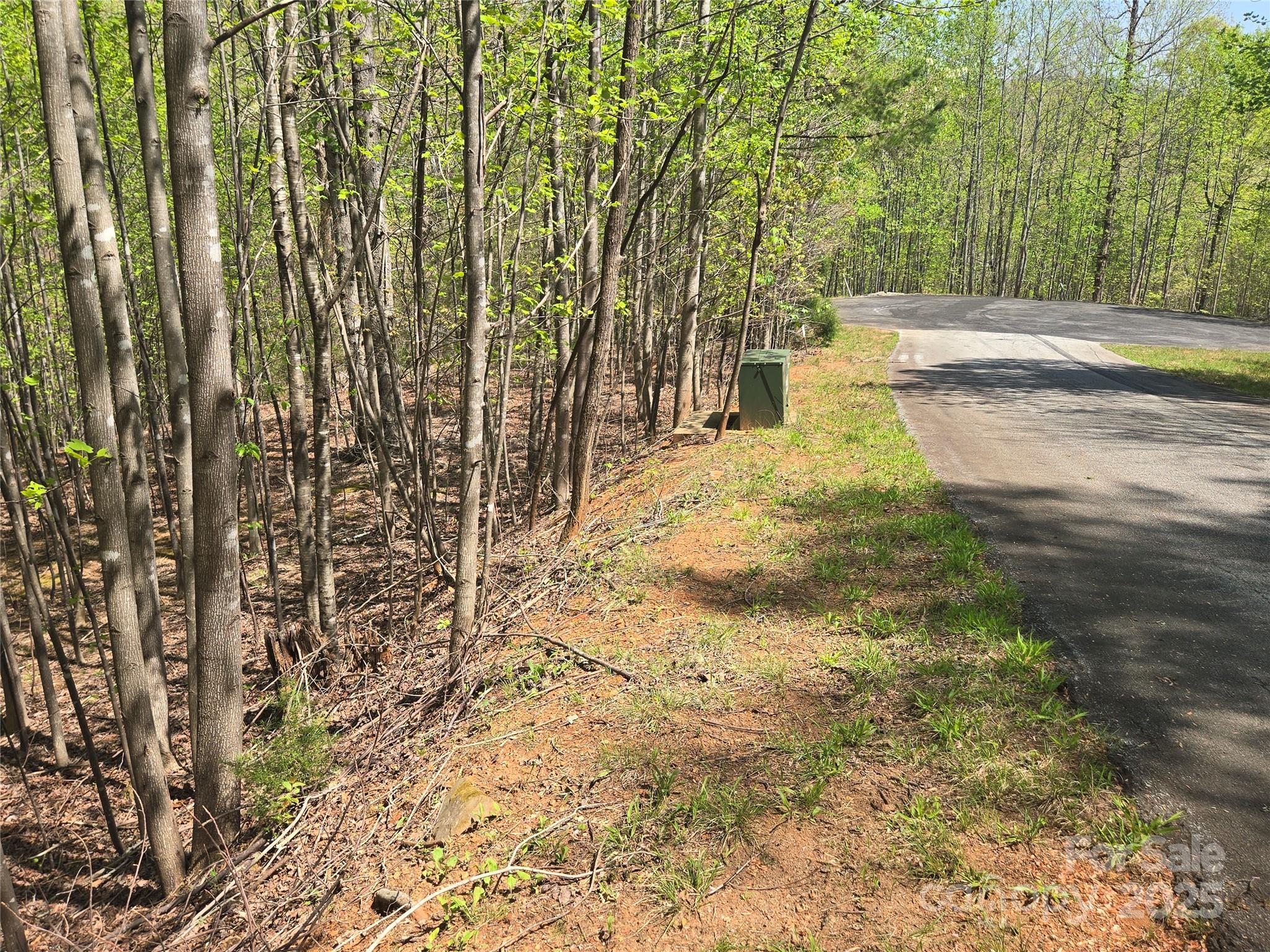 Lot 11 Back Hollow Drive