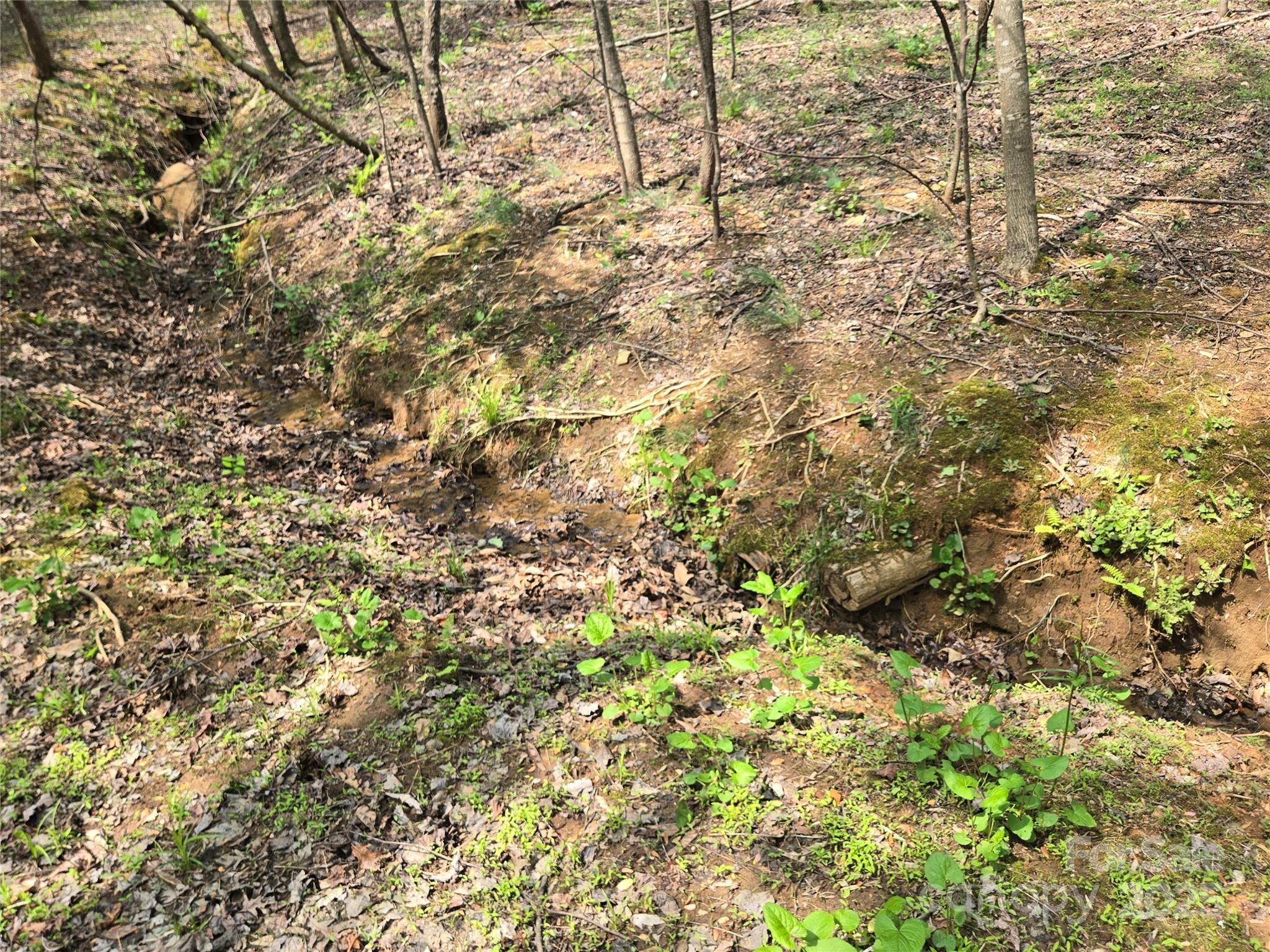 Lot 11 Back Hollow Drive