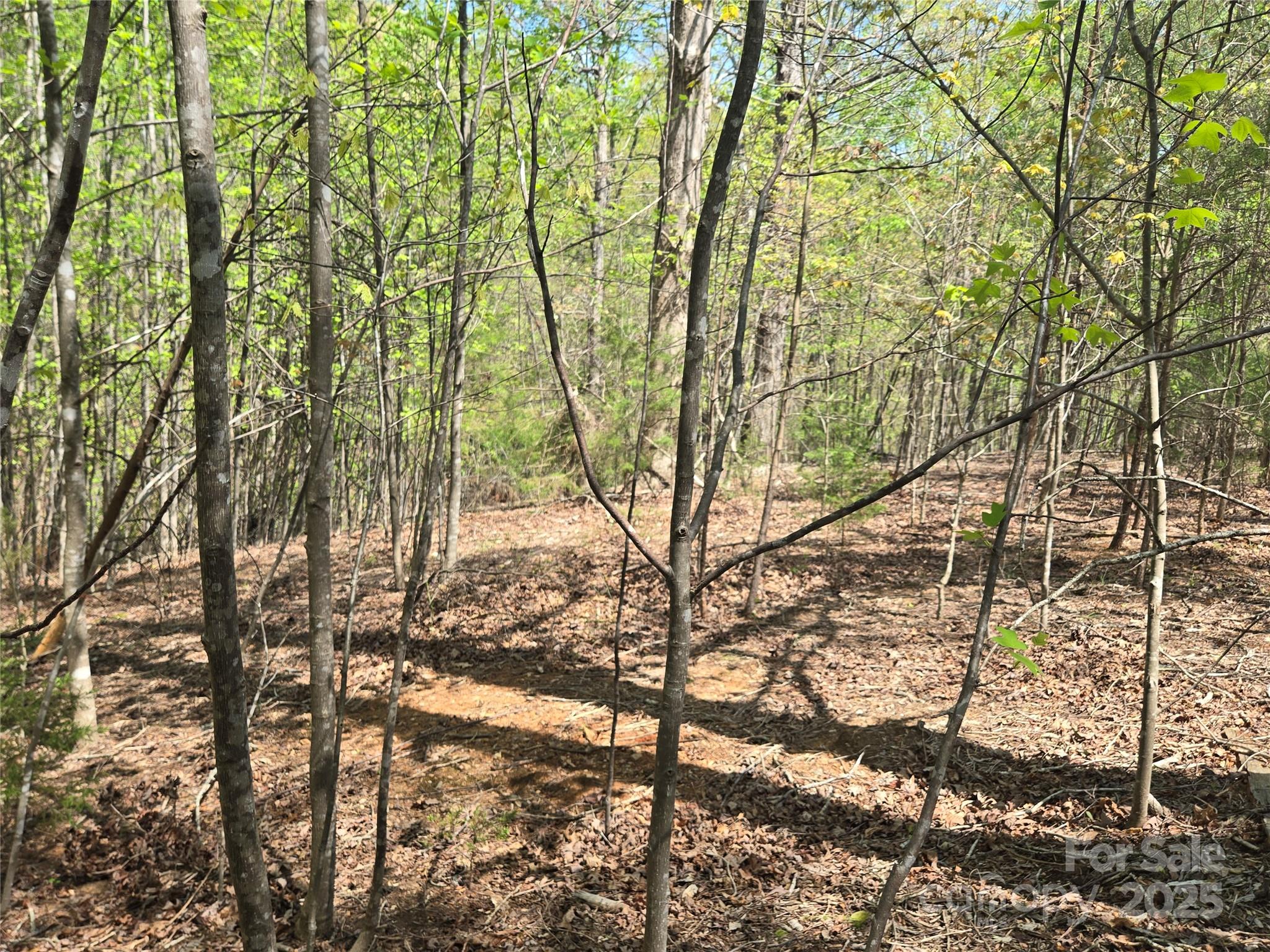 Lot 11 Back Hollow Drive