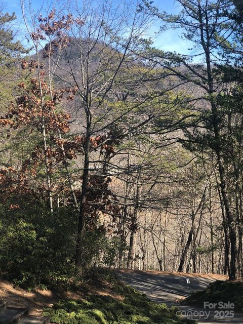 A home in Lake Lure