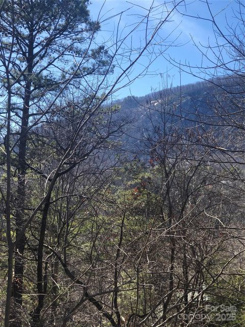 A home in Lake Lure