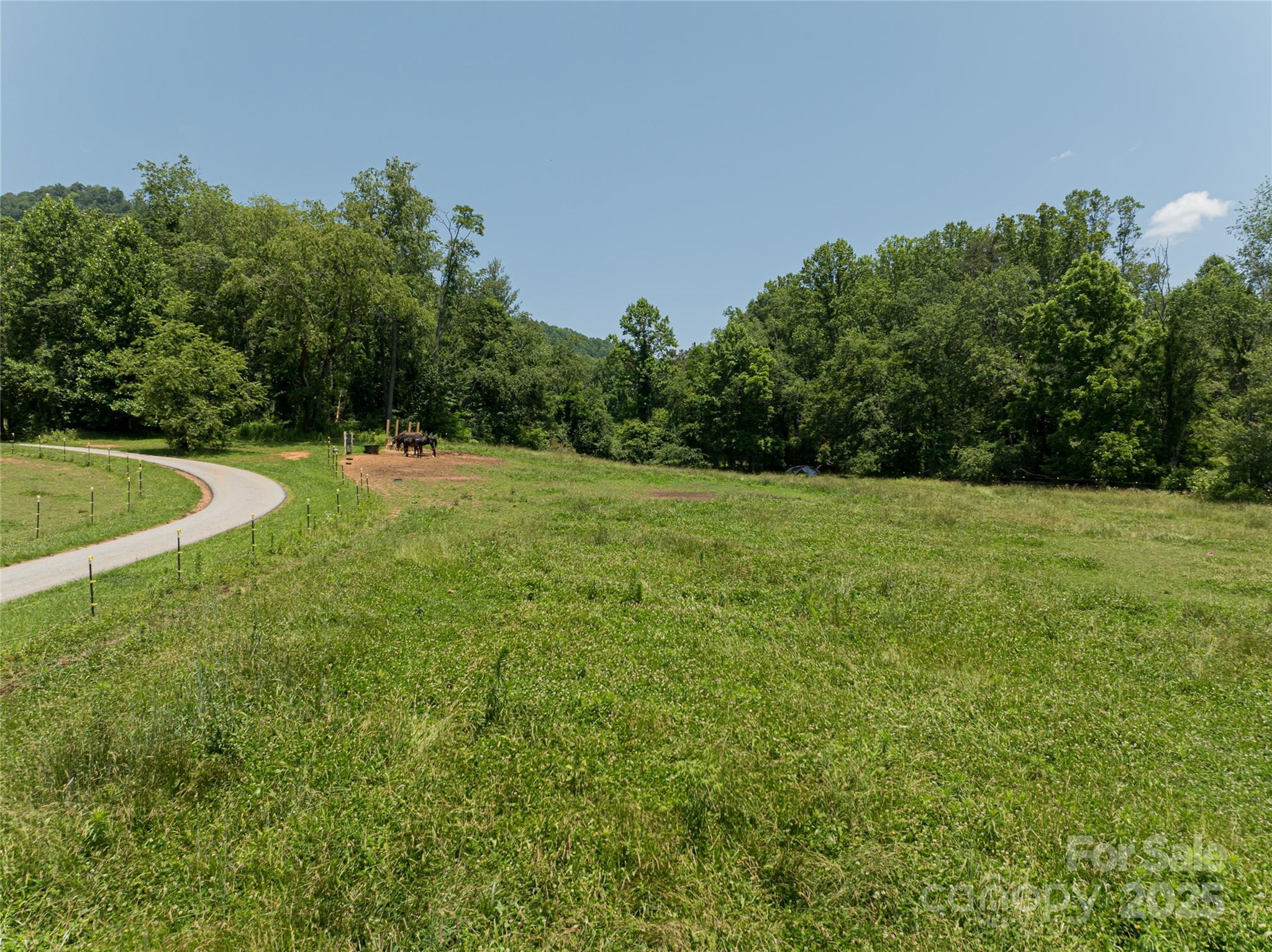 173 Avery Creek Road