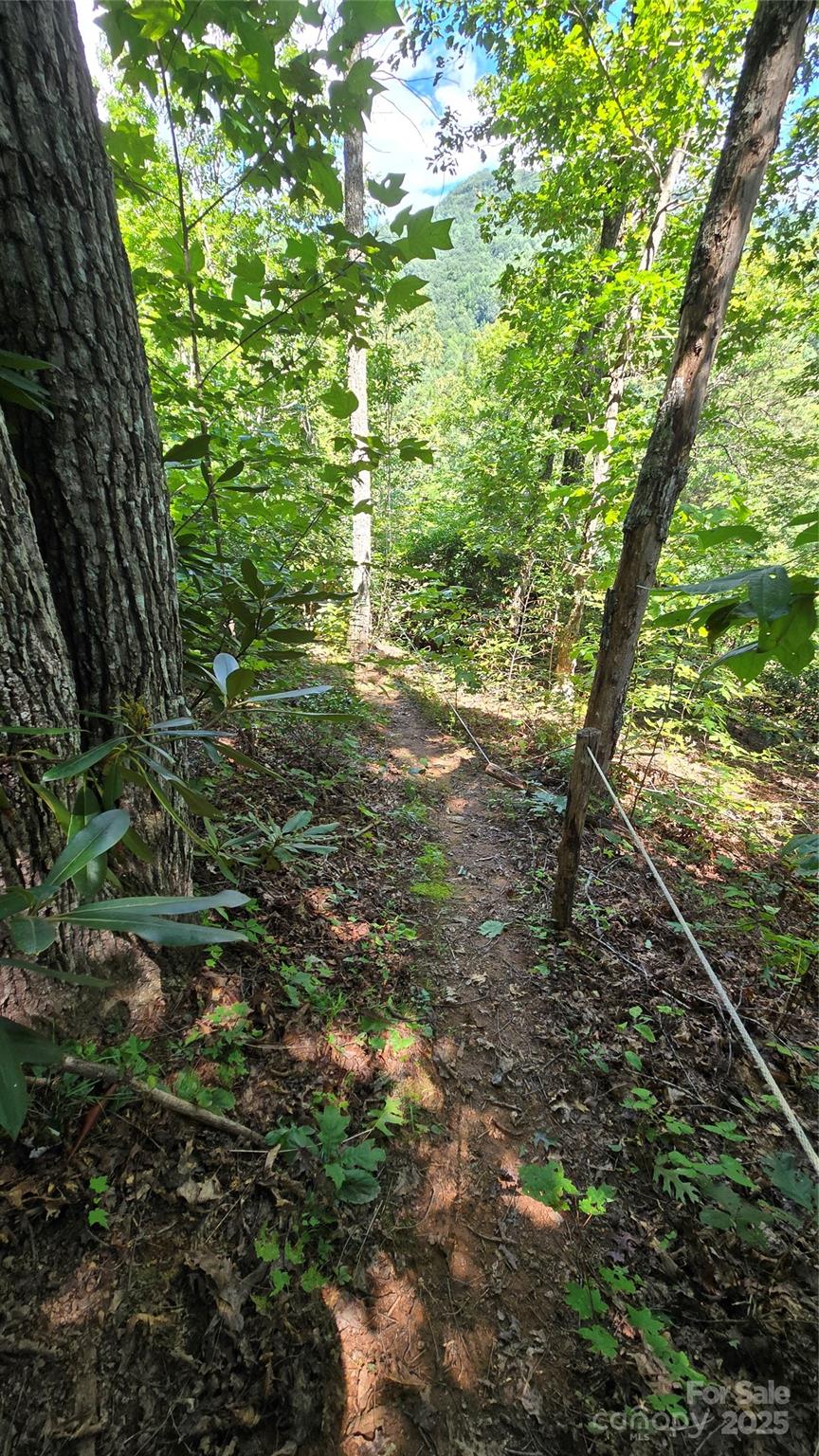 Gateway Mountain - Residential