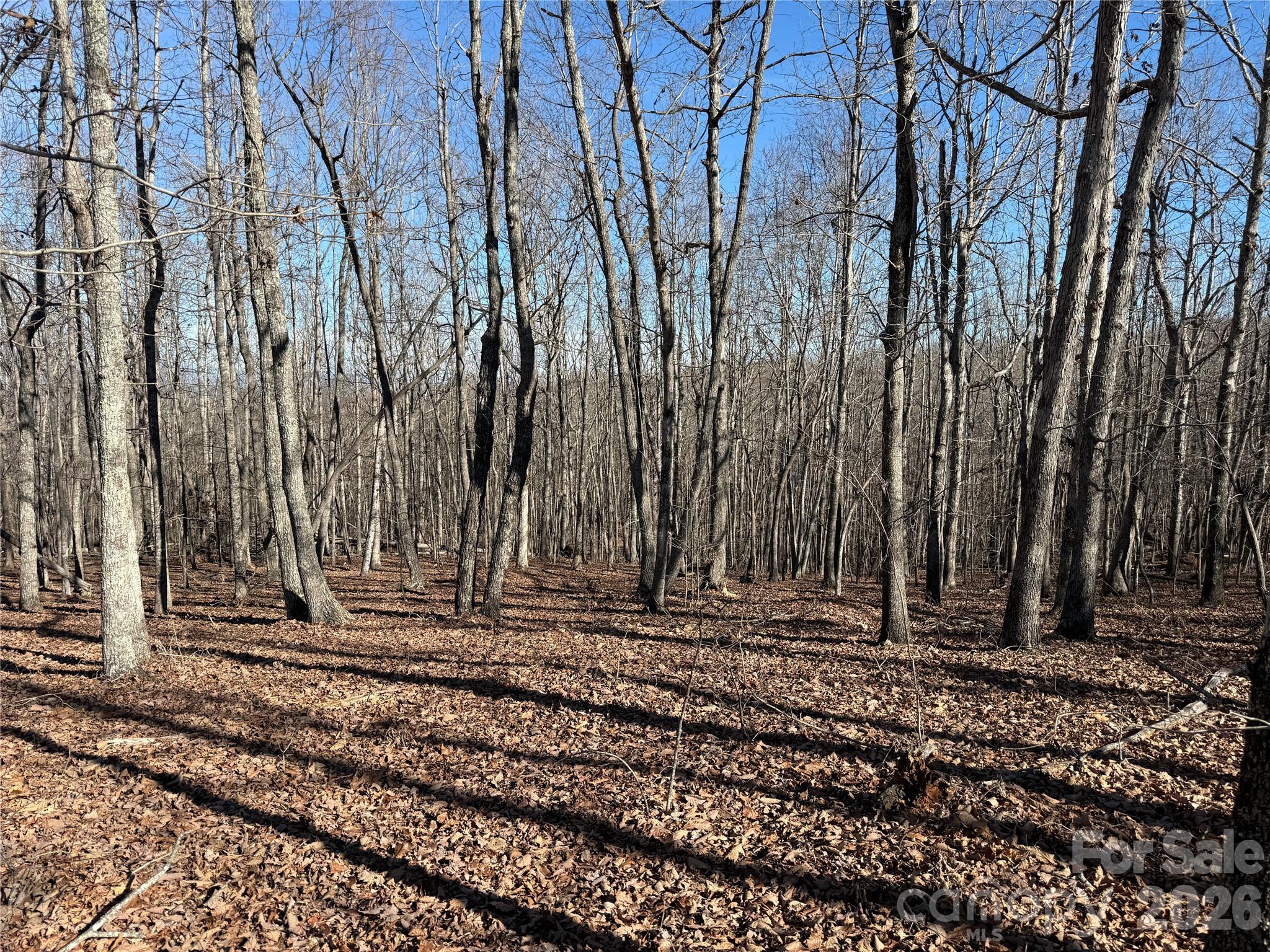 108 Woodgate Trail 94