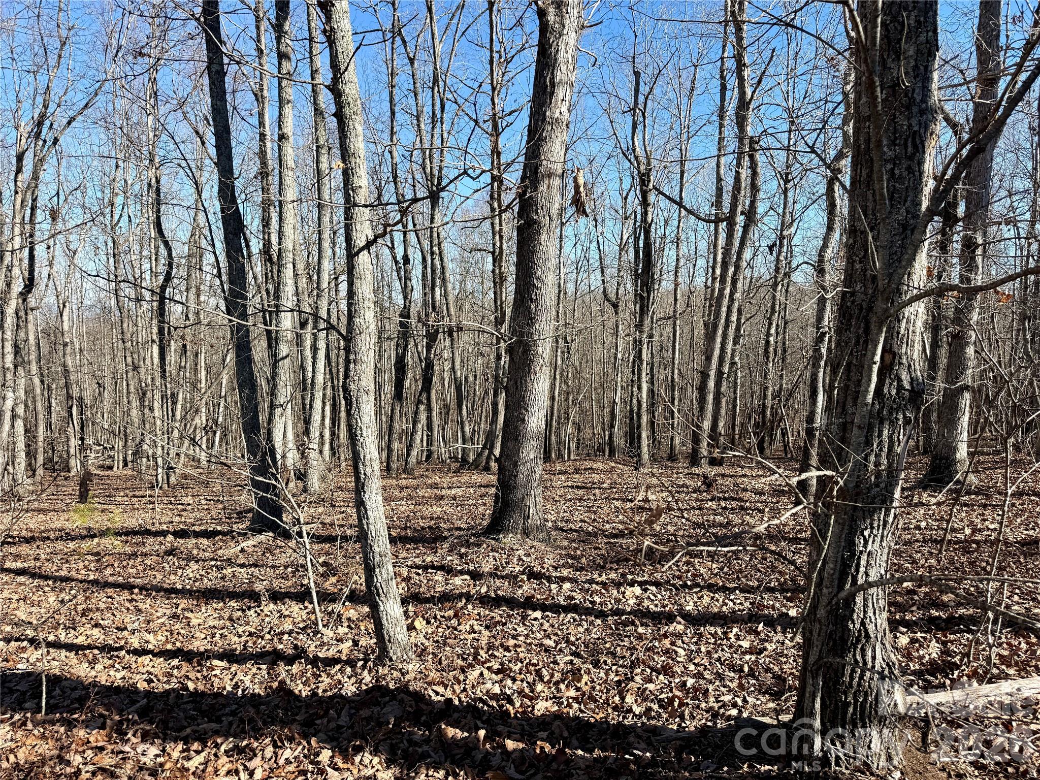 108 Woodgate Trail 94