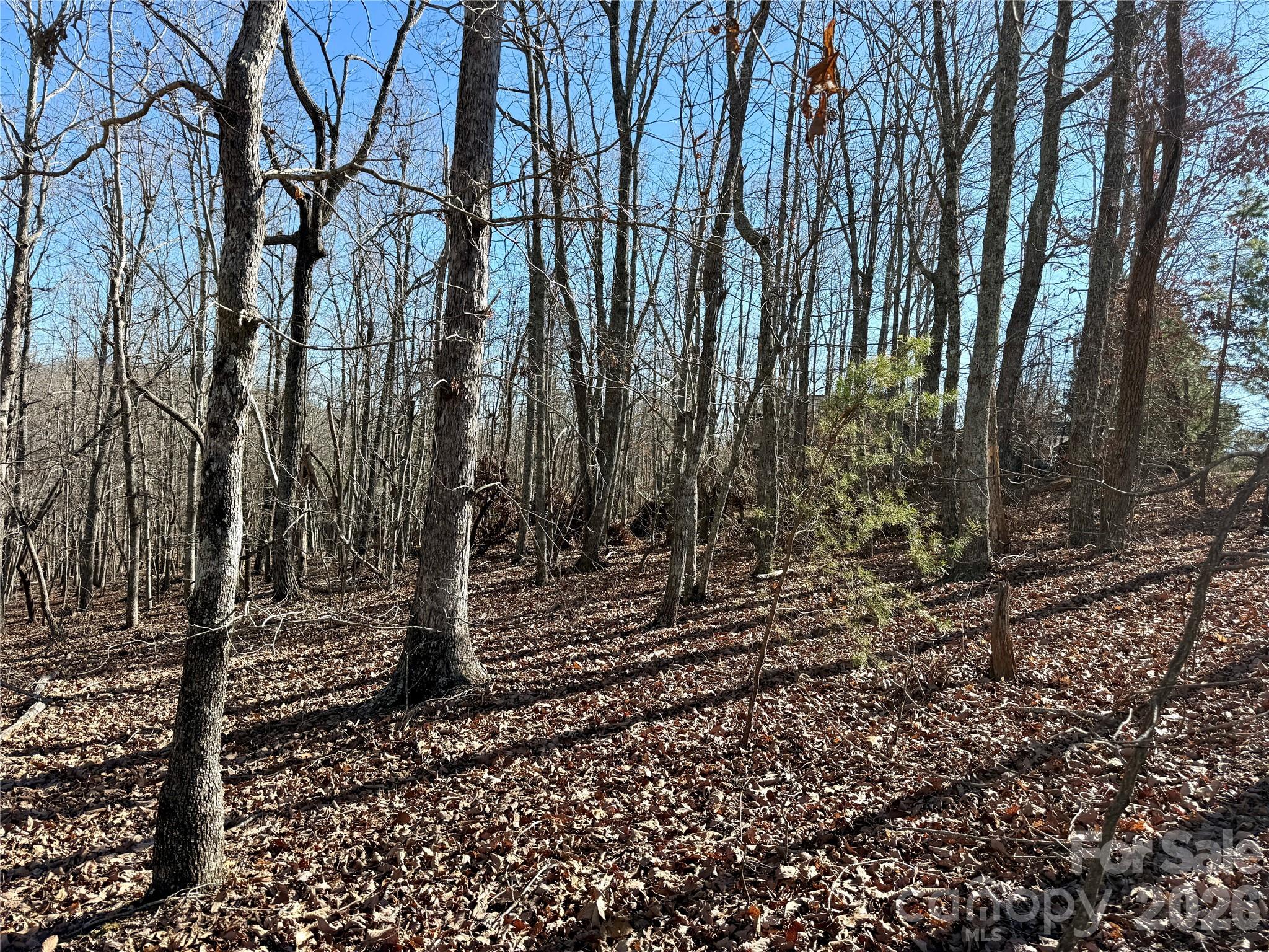 108 Woodgate Trail 94