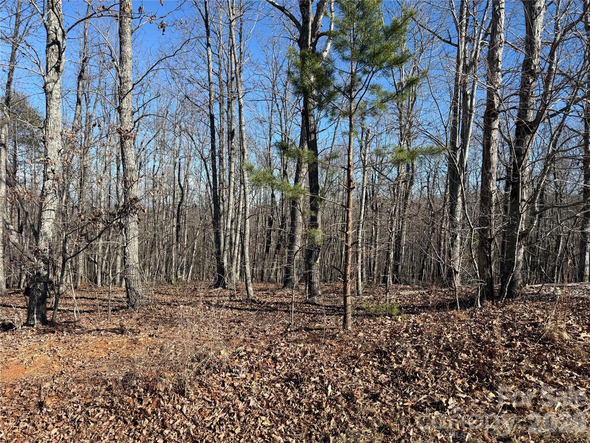 108 Woodgate Trail 94