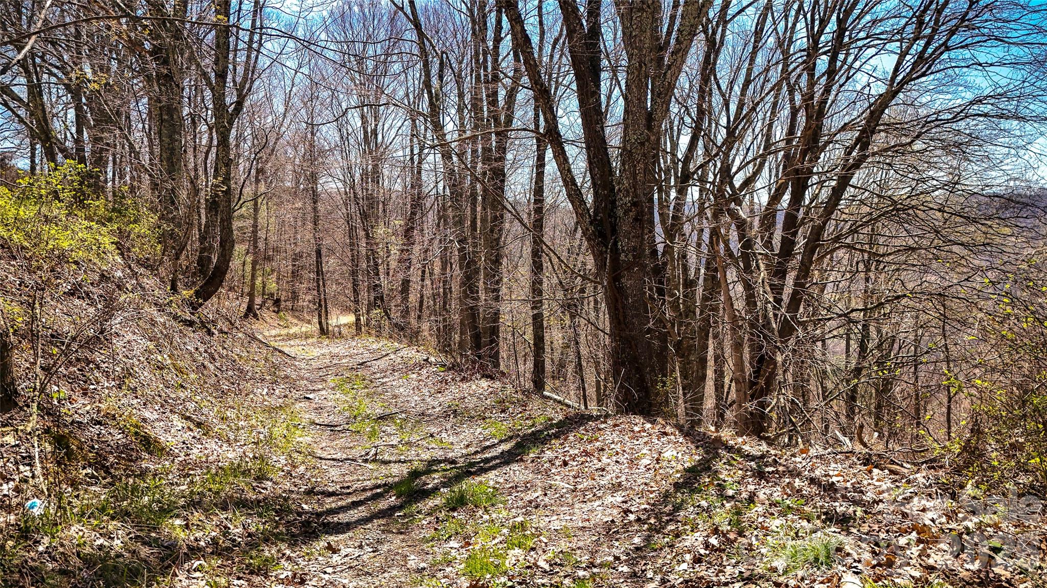 7277 Beech Mountain Road