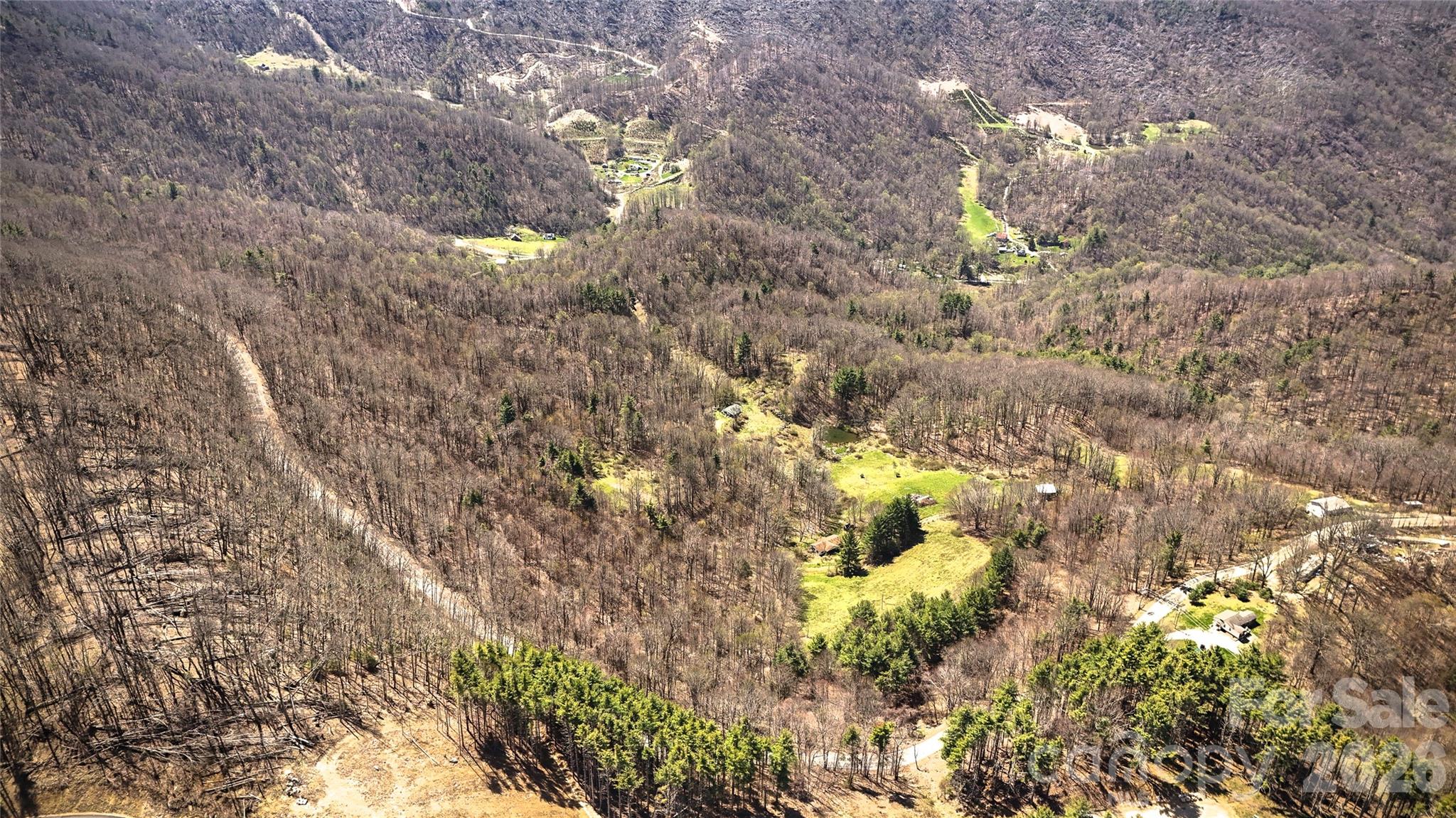 7277 Beech Mountain Road