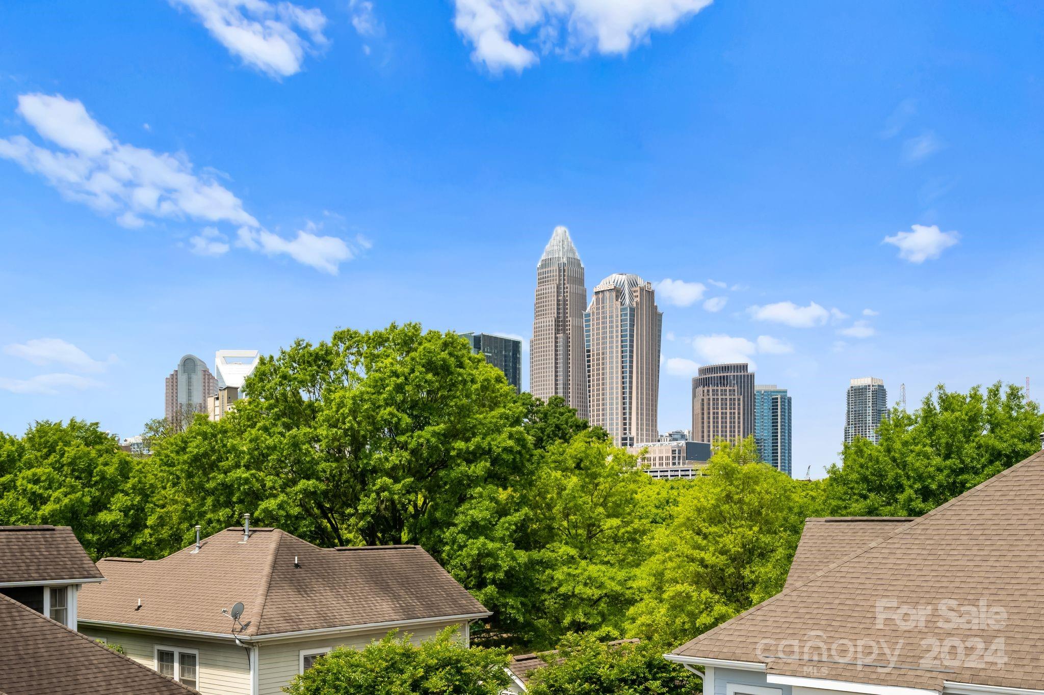 First Ward - Residential