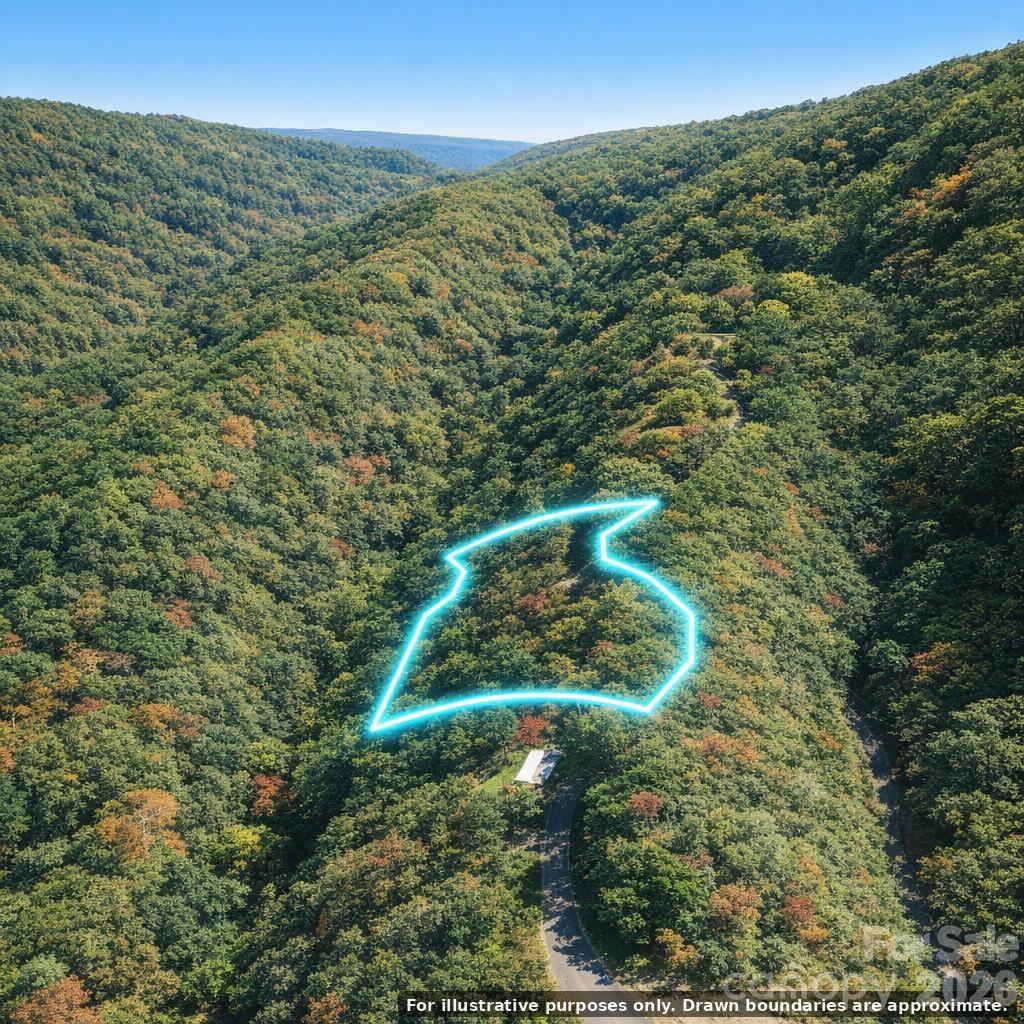 00 Laurel Branch Drive