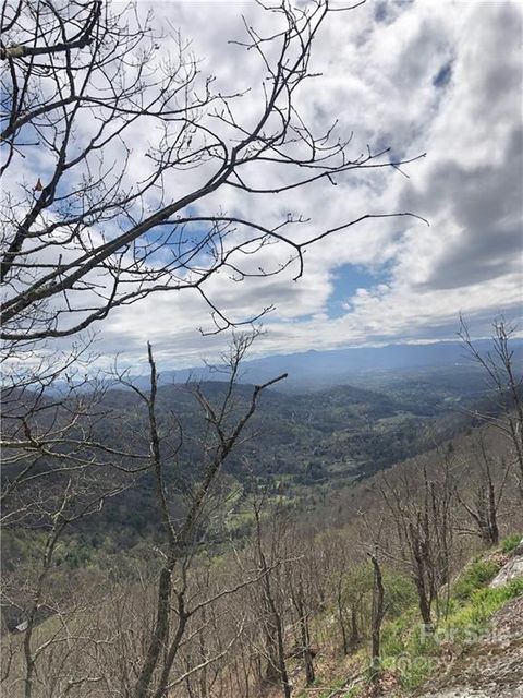 0000 Elk Mountain Scenic Highway Asheville NC 28804