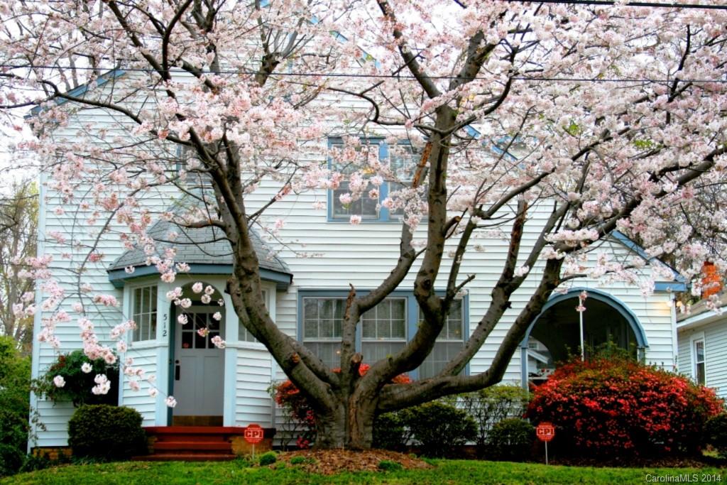 York Chester - Residential Lease