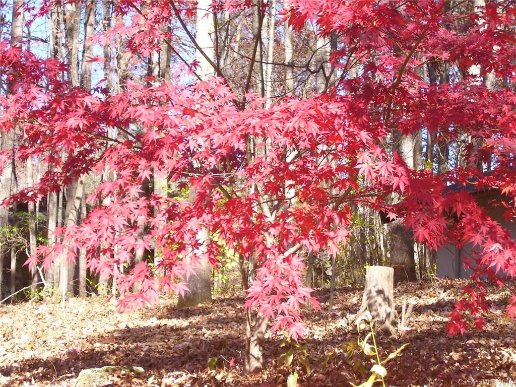 Beechwood Lakes - Residential