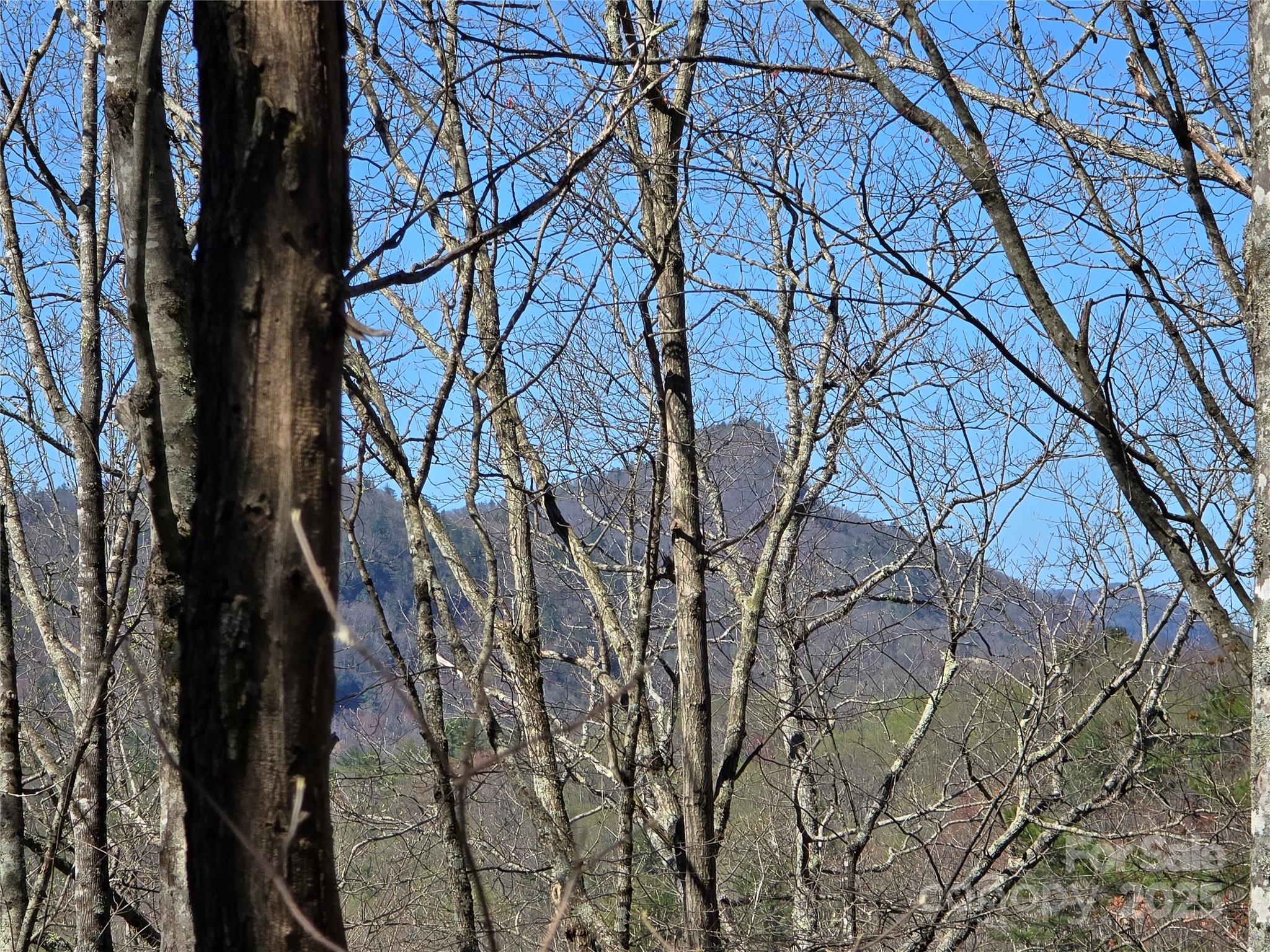 Lot 39 Sweet Spring Trail 39