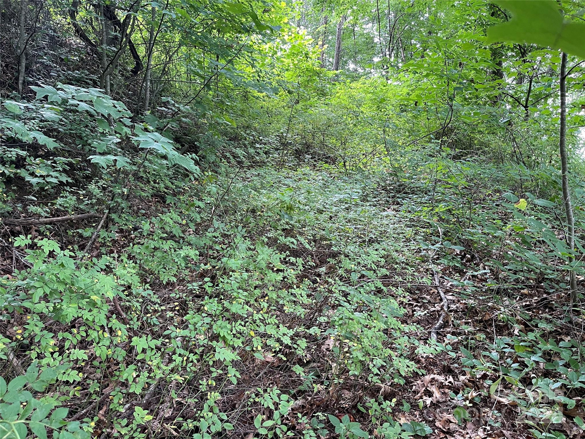 Friendly Acres - Land