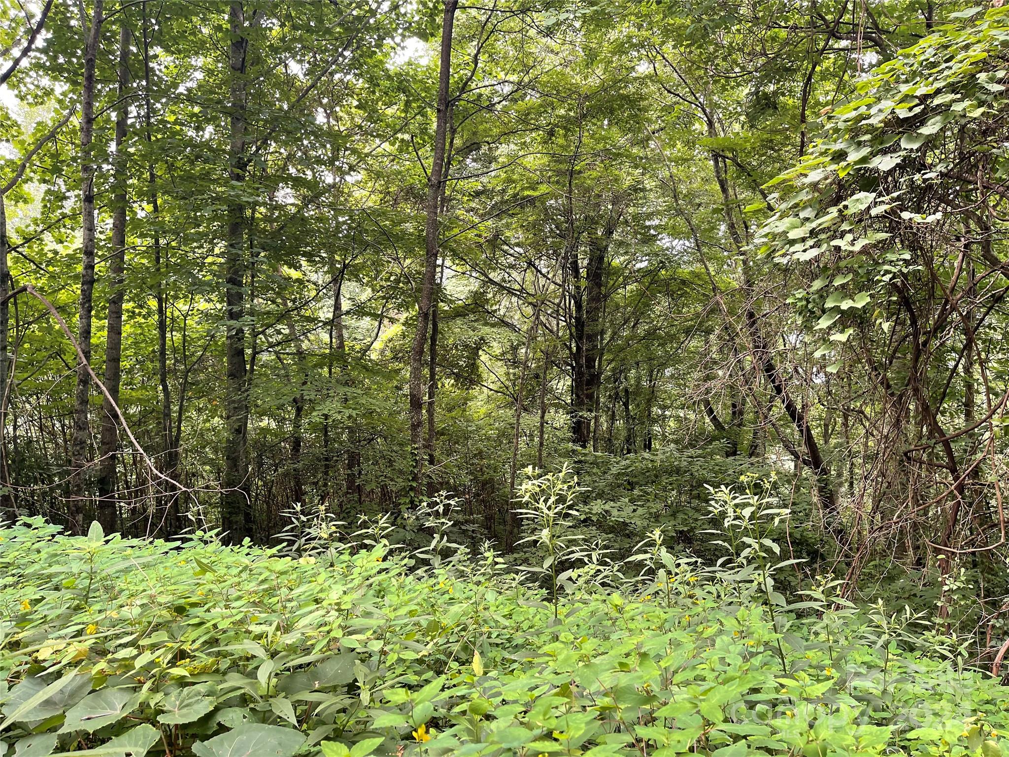 Friendly Acres - Land